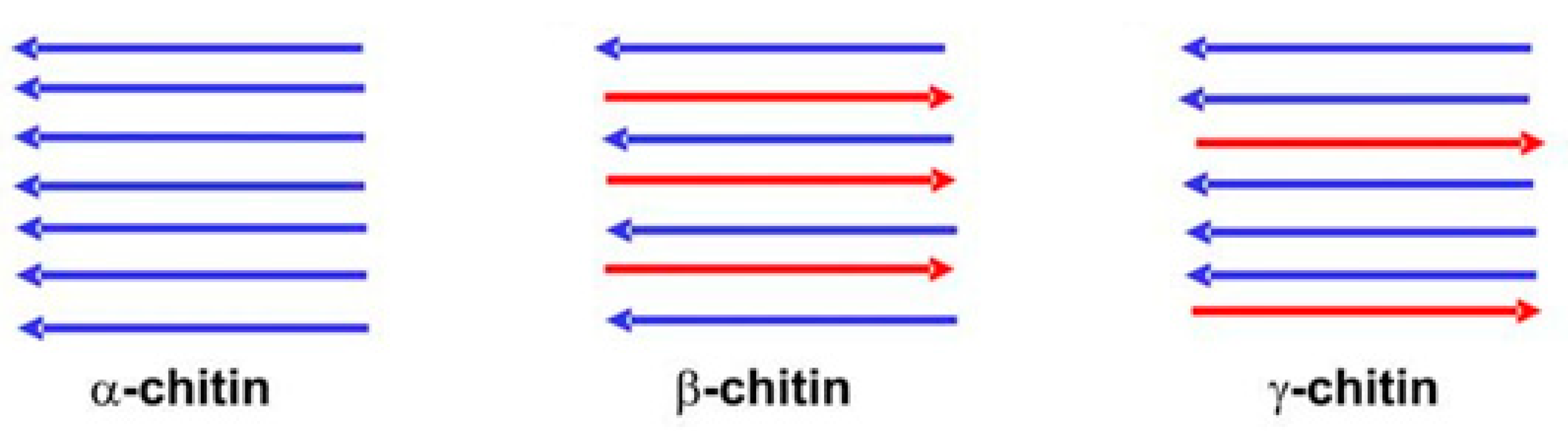 Ijms 21 04290 g003 Ijms 21 04290 g003