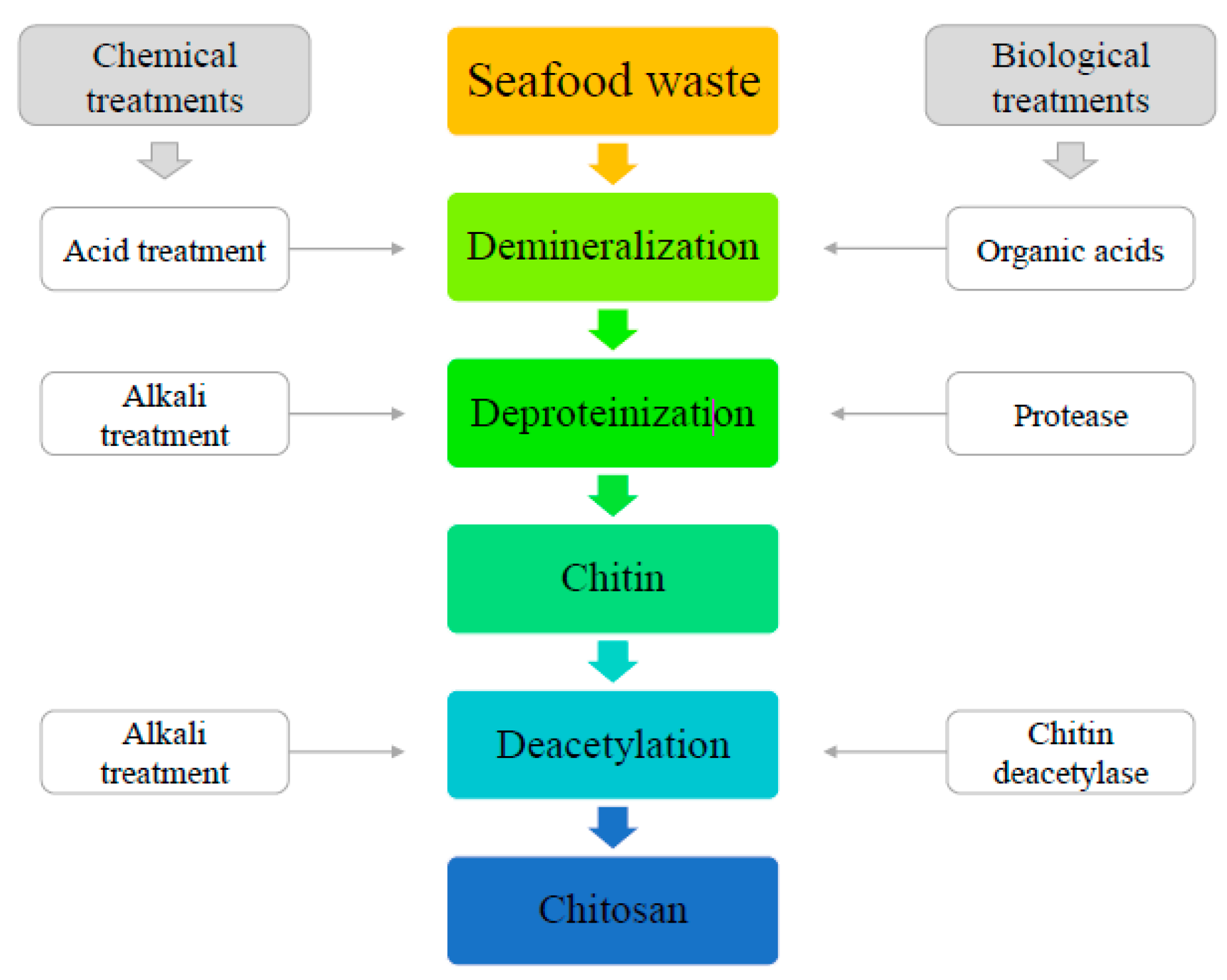 Ijms 21 04290 g005 Ijms 21 04290 g005