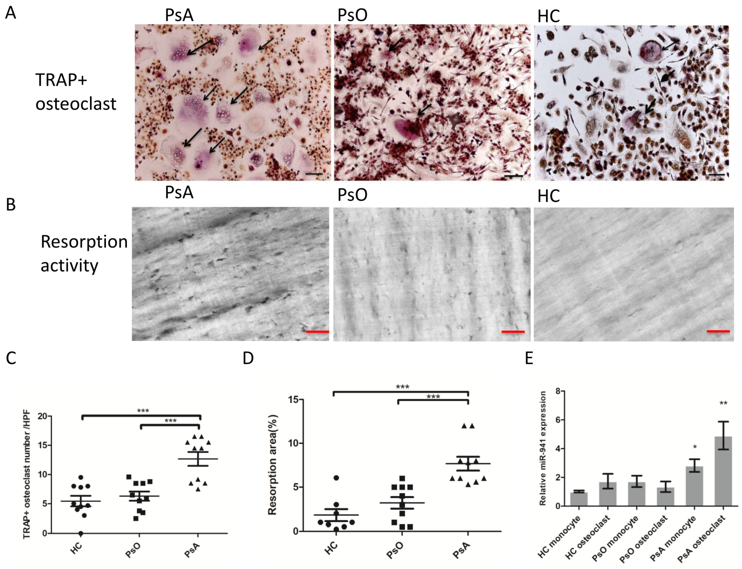 Ijms 21 04301 g002 Ijms 21 04301 g002