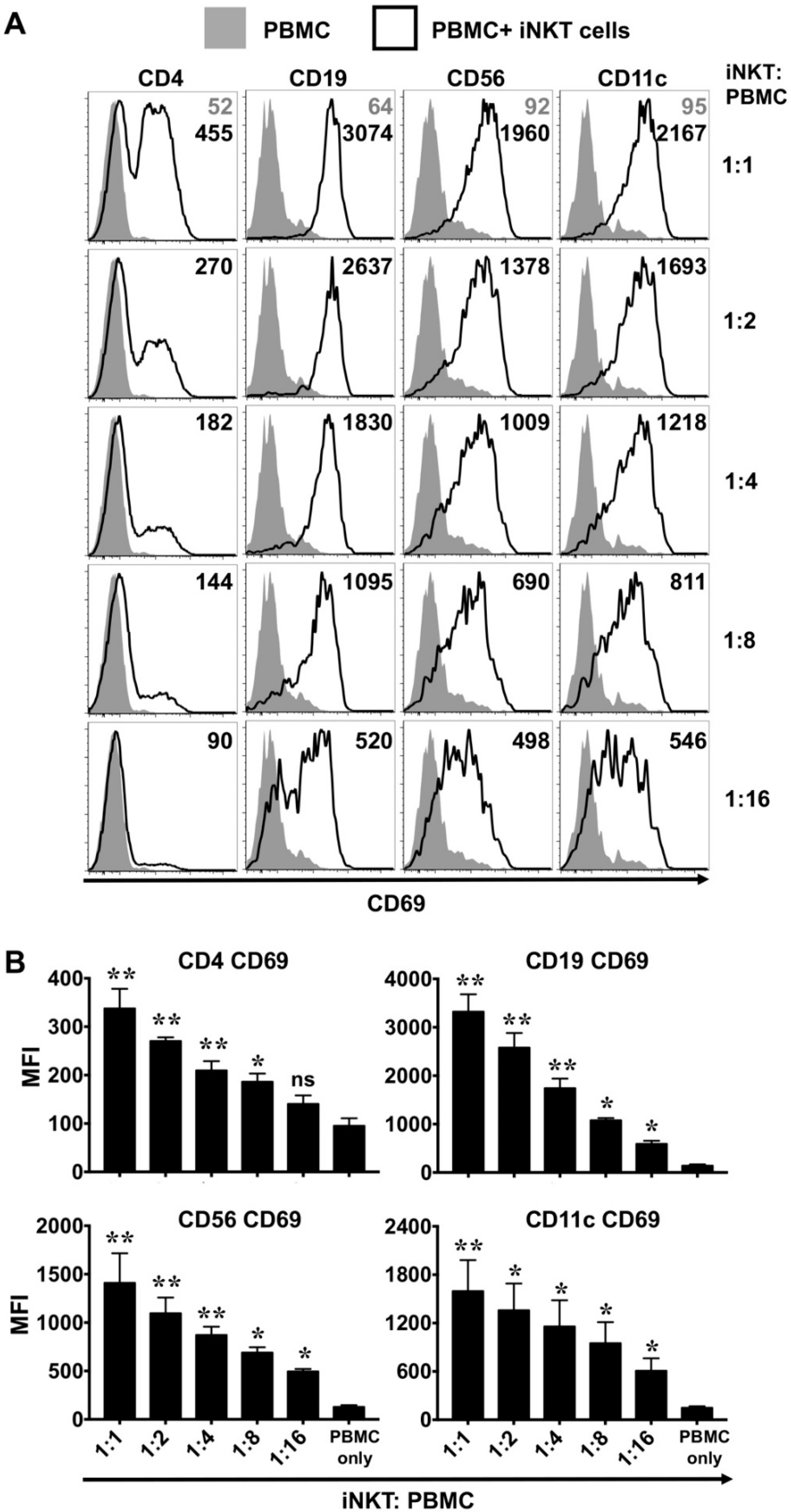 Ijms 21 04317 g005 Ijms 21 04317 g005