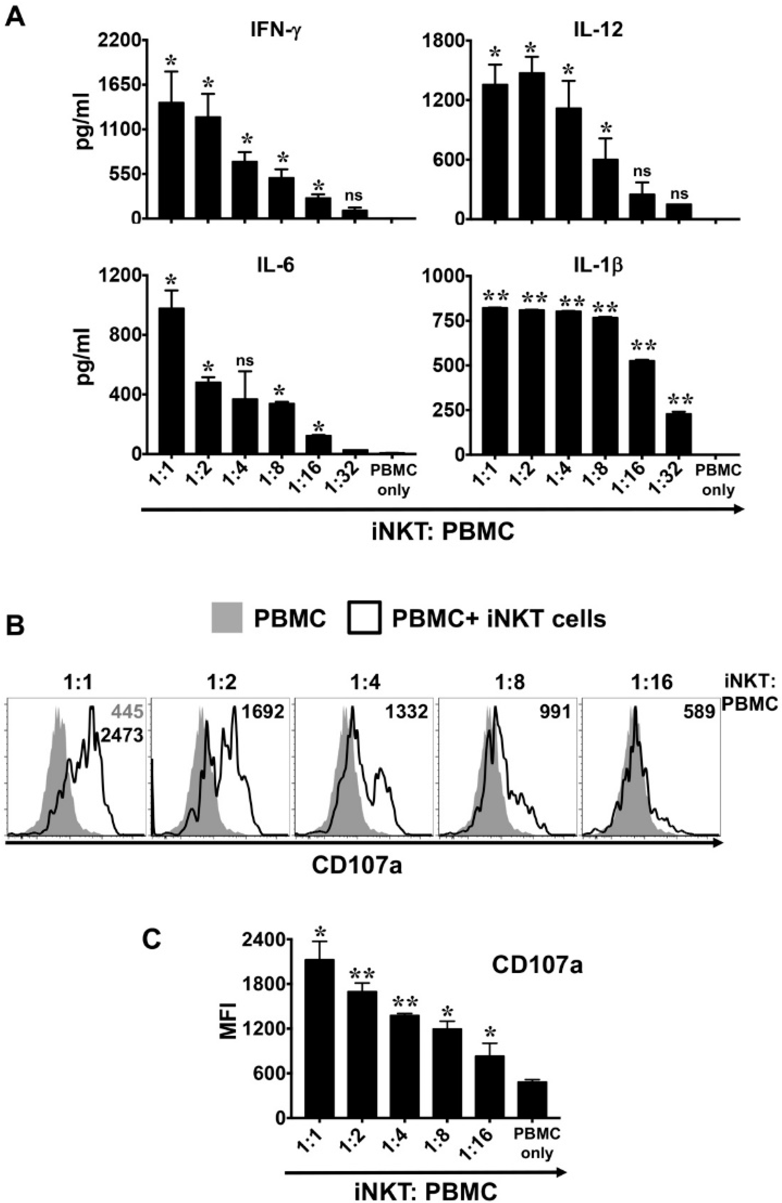 Ijms 21 04317 g006 Ijms 21 04317 g006