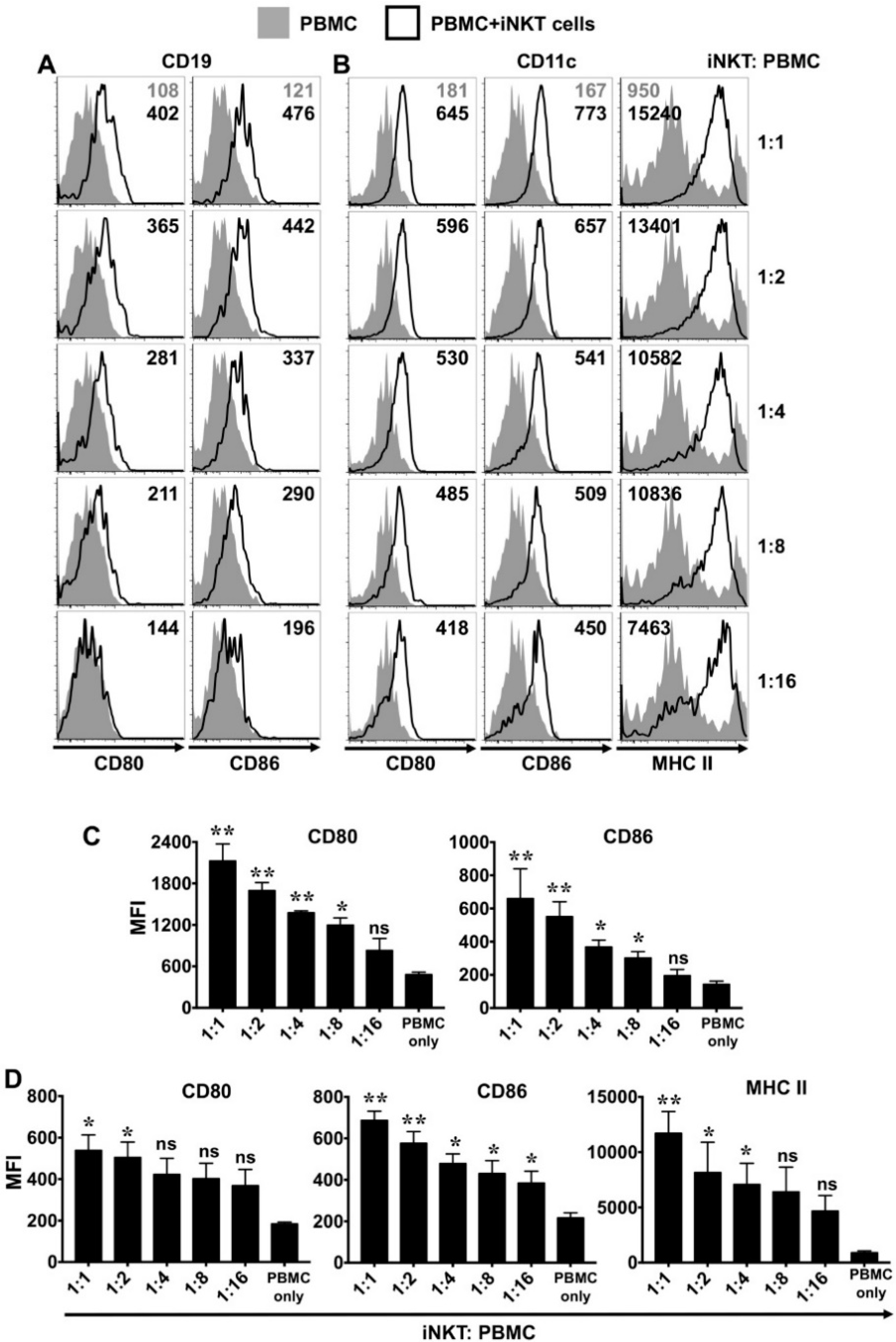 Ijms 21 04317 g007 Ijms 21 04317 g007