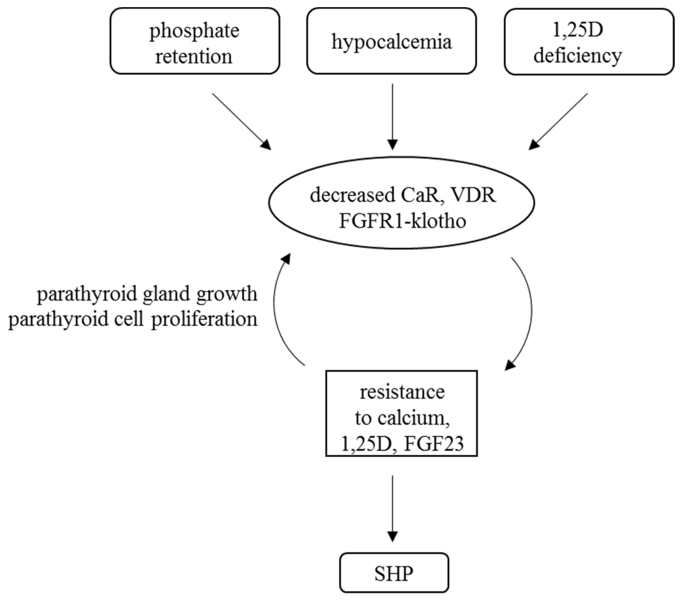 Ijms 21 04332 g003 Ijms 21 04332 g003