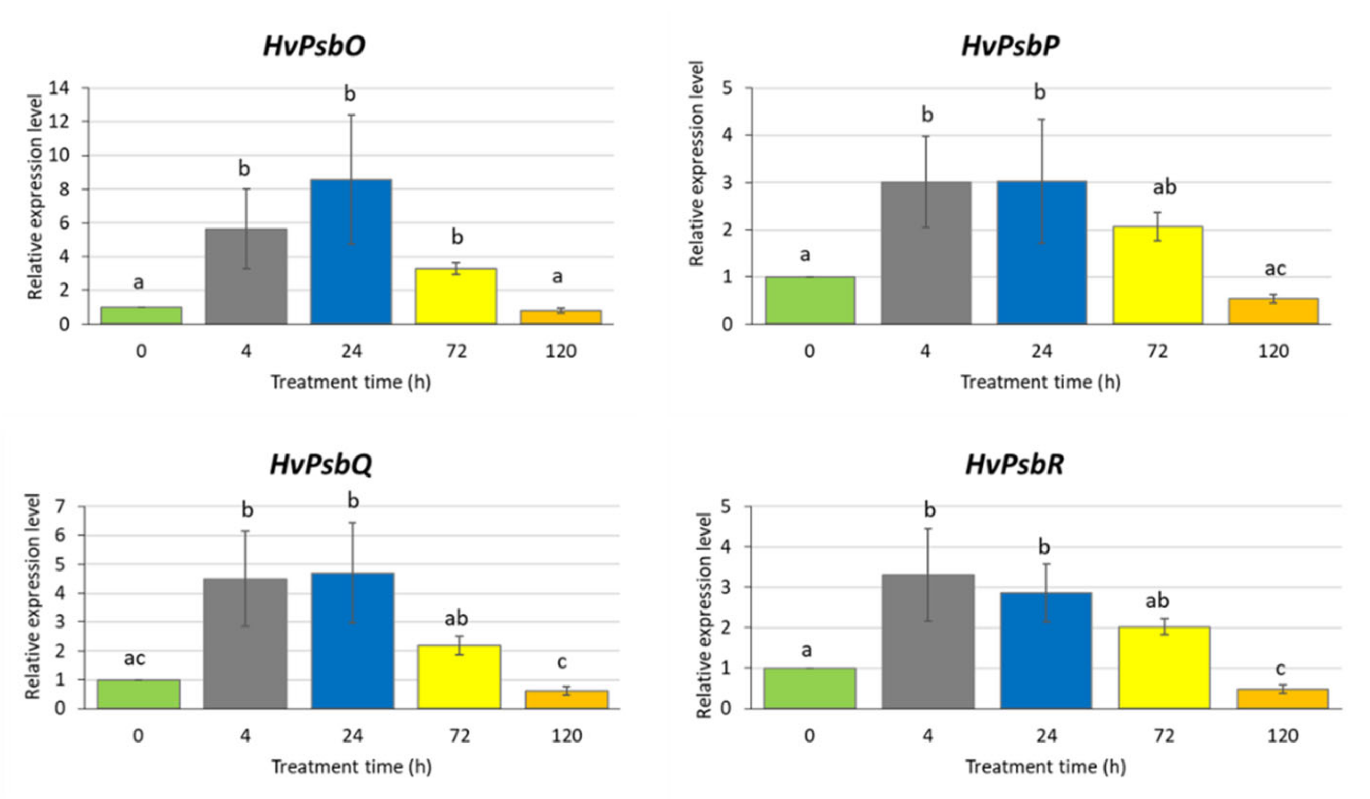 Ijms 21 04335 g003 Ijms 21 04335 g003