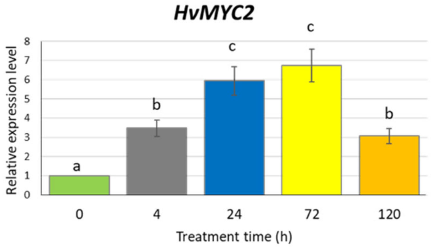 Ijms 21 04335 g004 Ijms 21 04335 g004