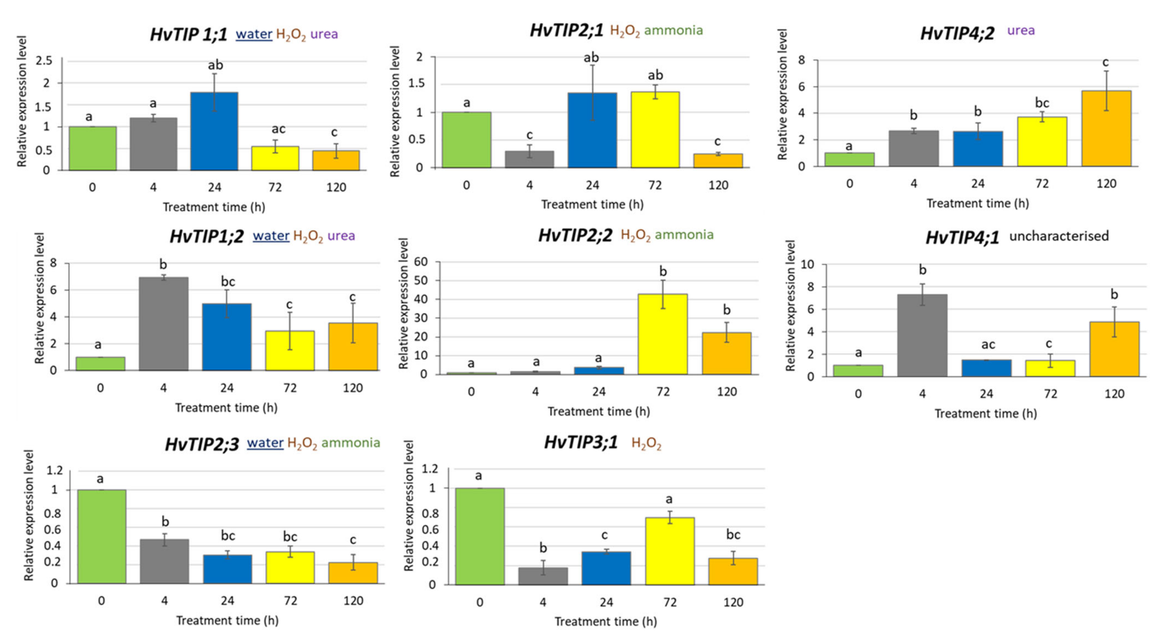 Ijms 21 04335 g005 Ijms 21 04335 g005