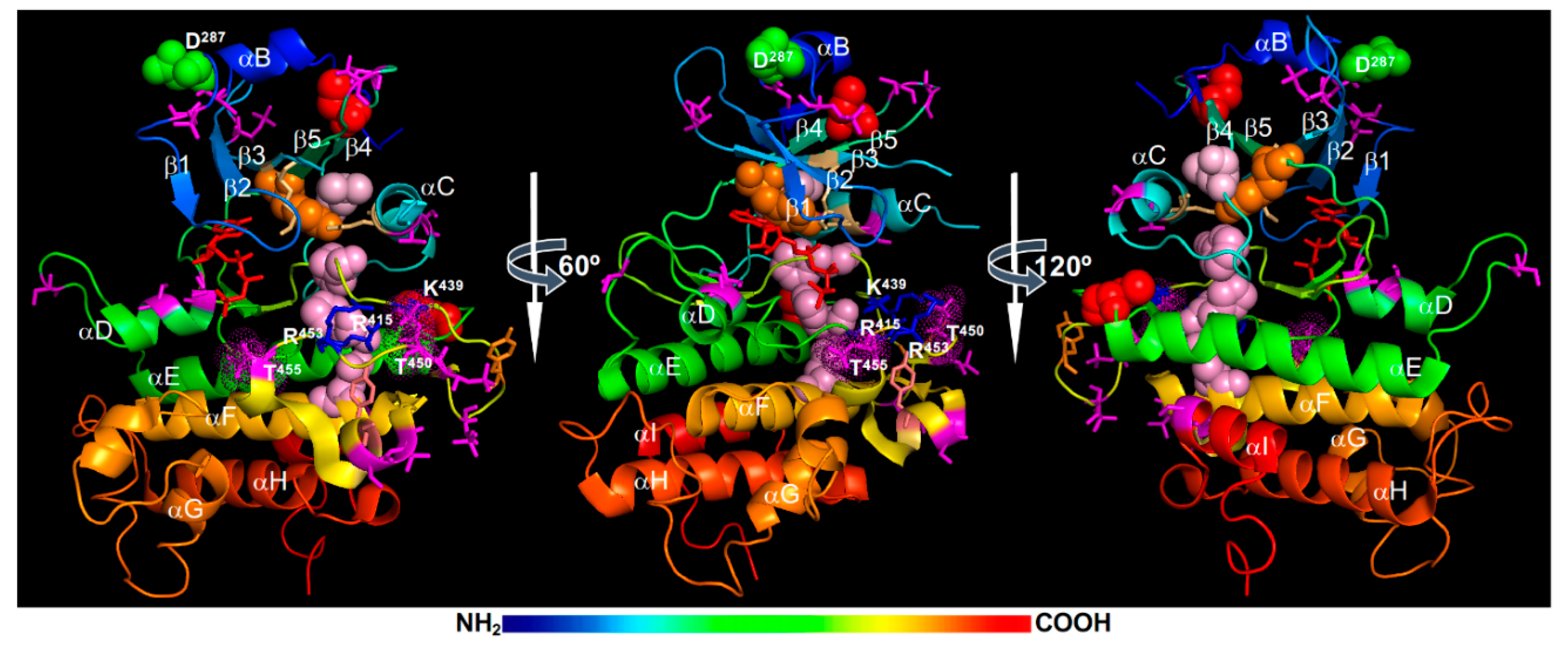 Ijms 21 04340 g004 Ijms 21 04340 g004