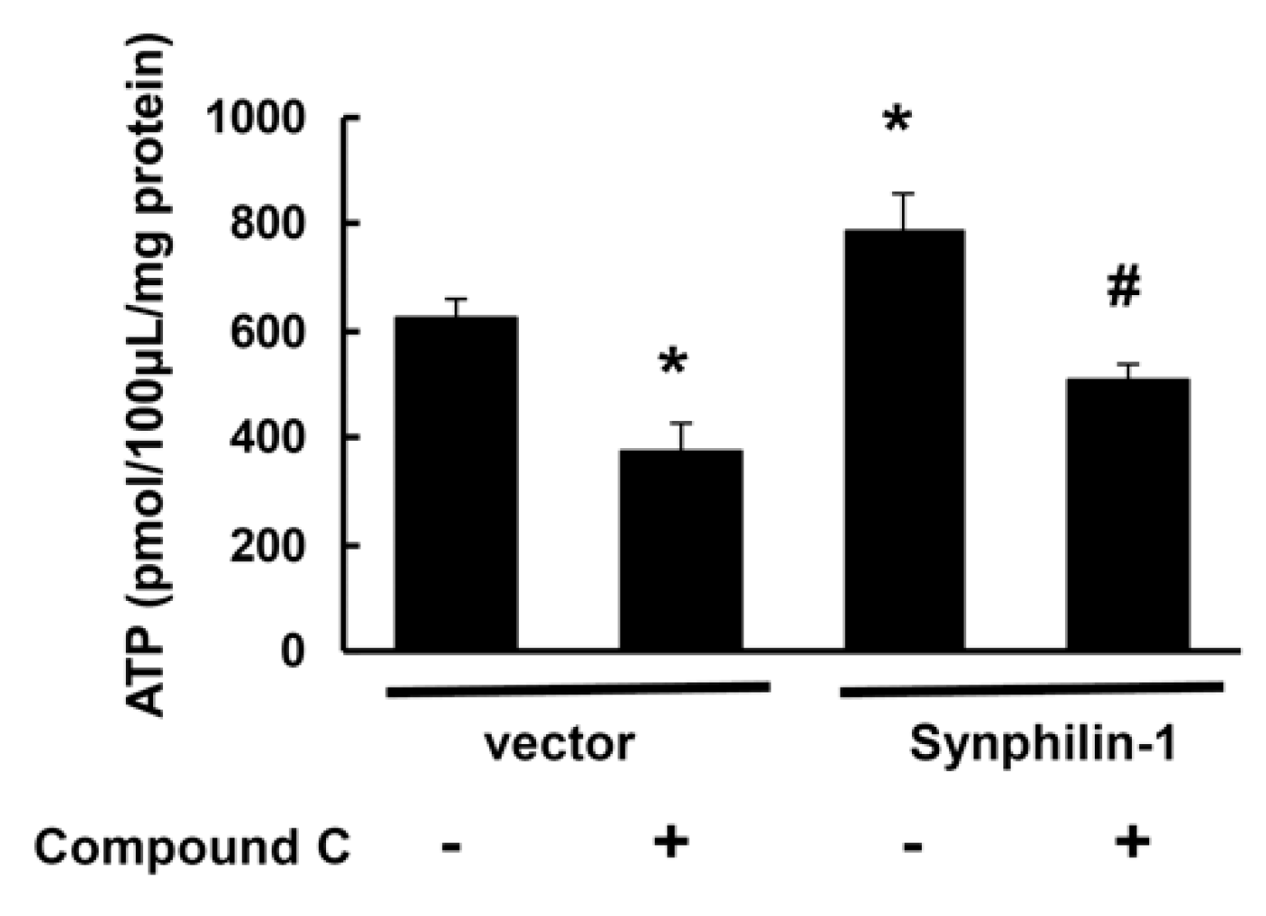 Ijms 21 04352 g006 Ijms 21 04352 g006