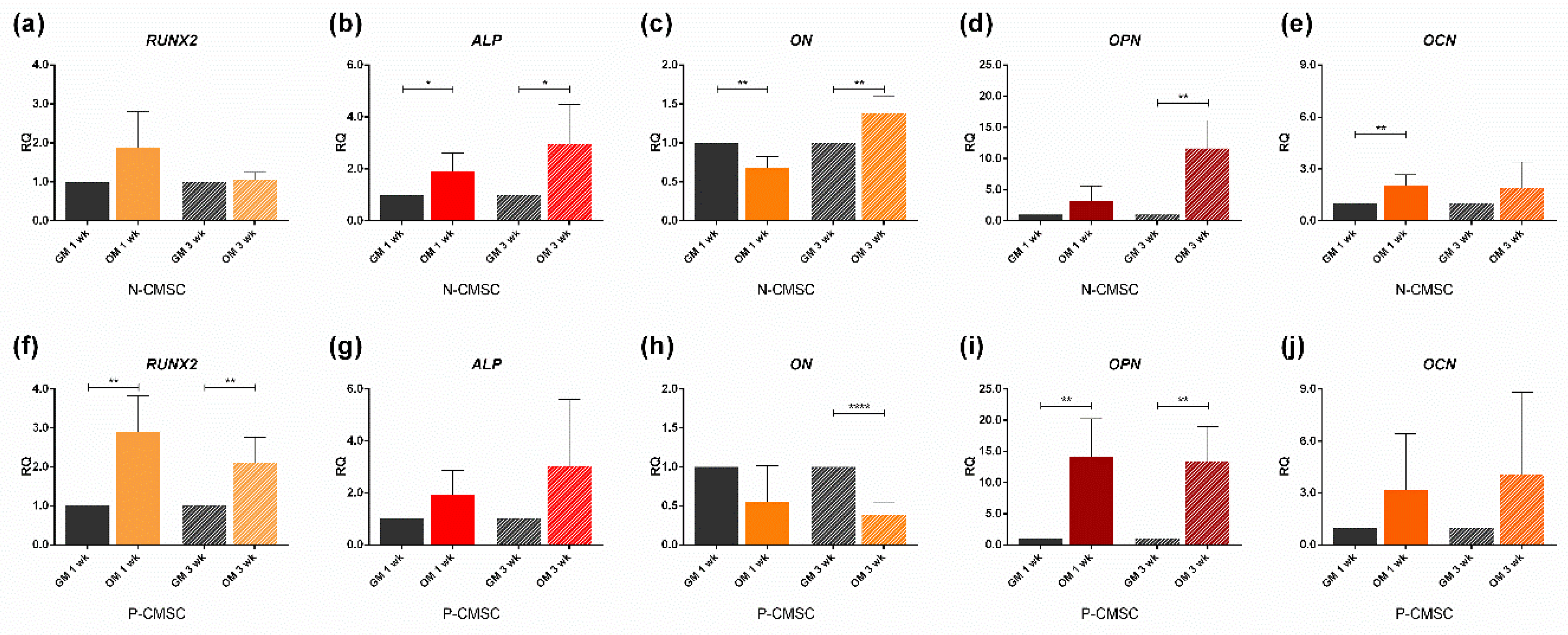 Ijms 21 04356 g005 Ijms 21 04356 g005