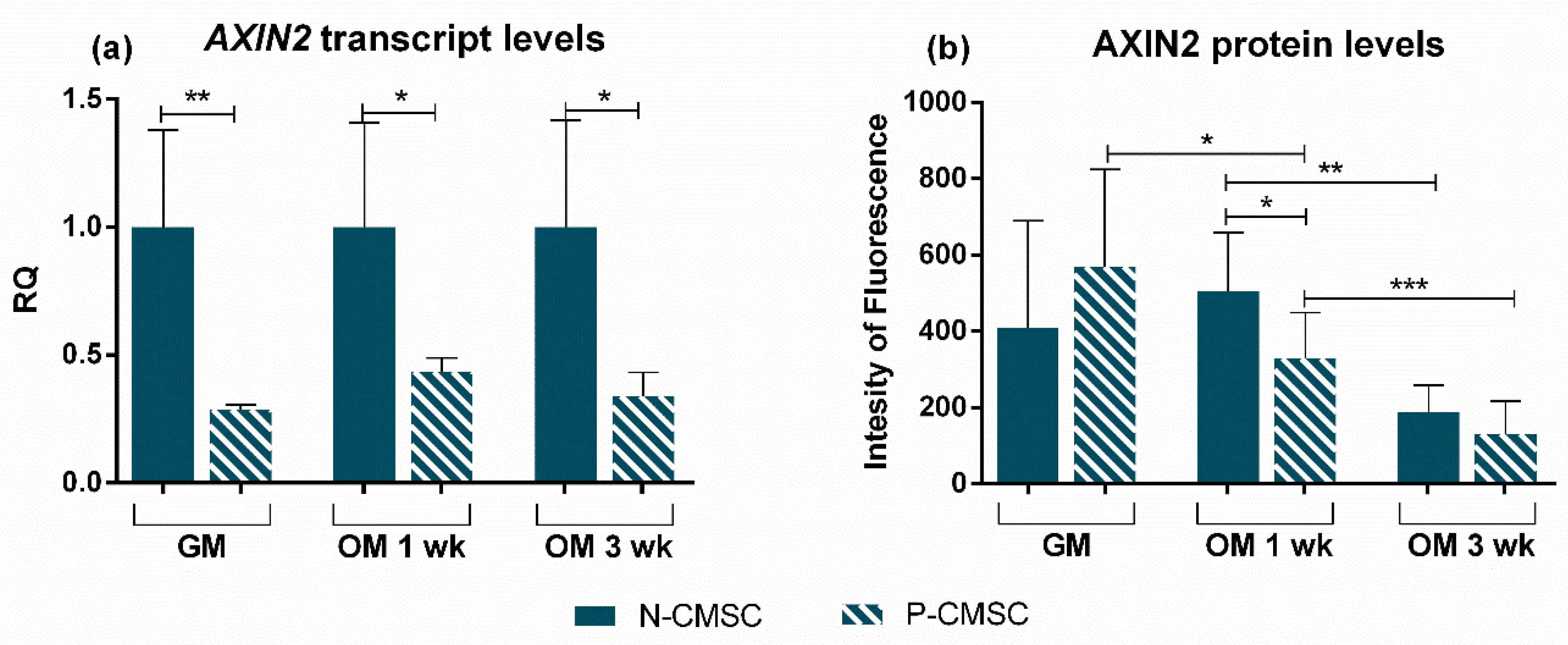 Ijms 21 04356 g009 Ijms 21 04356 g009