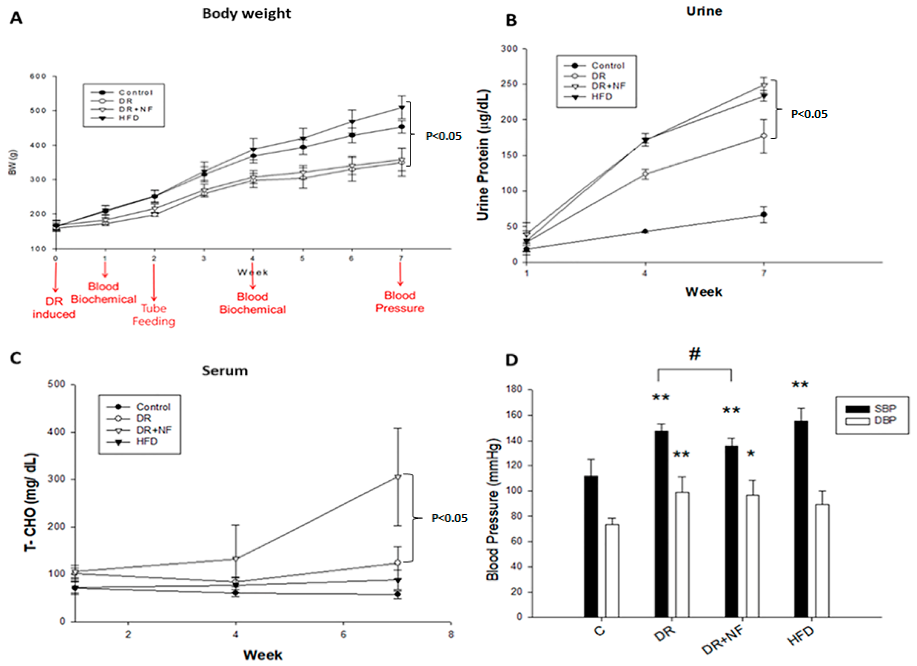 Ijms 21 04359 g001 Ijms 21 04359 g001
