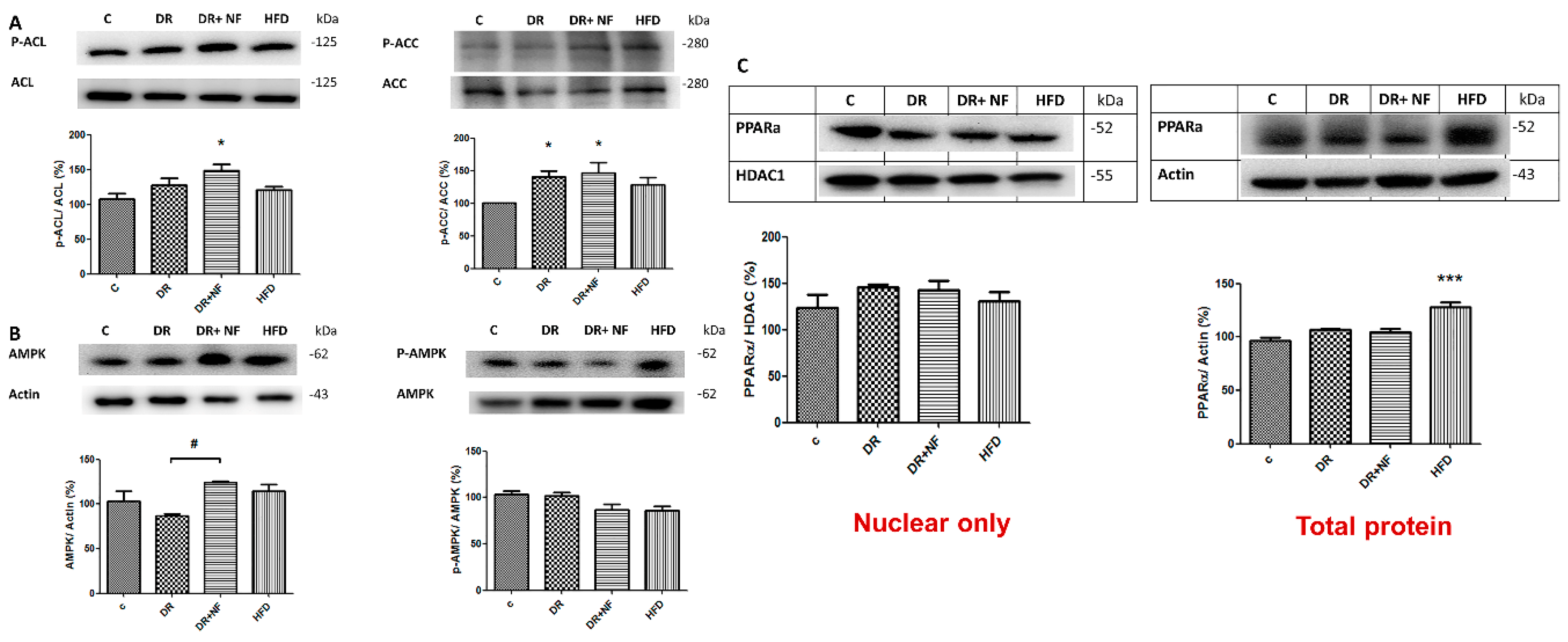 Ijms 21 04359 g006 Ijms 21 04359 g006