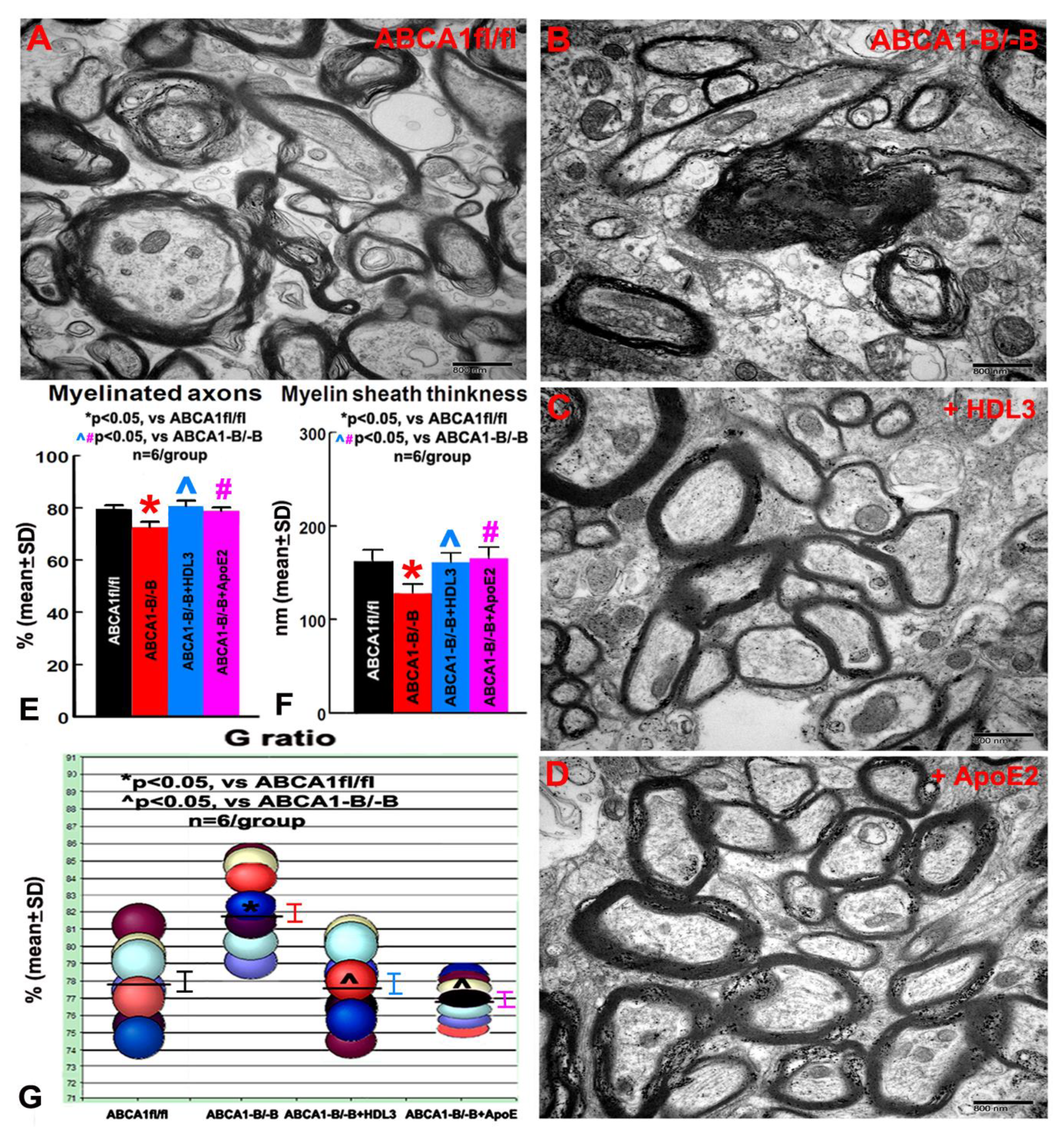 Ijms 21 04369 g003 Ijms 21 04369 g003