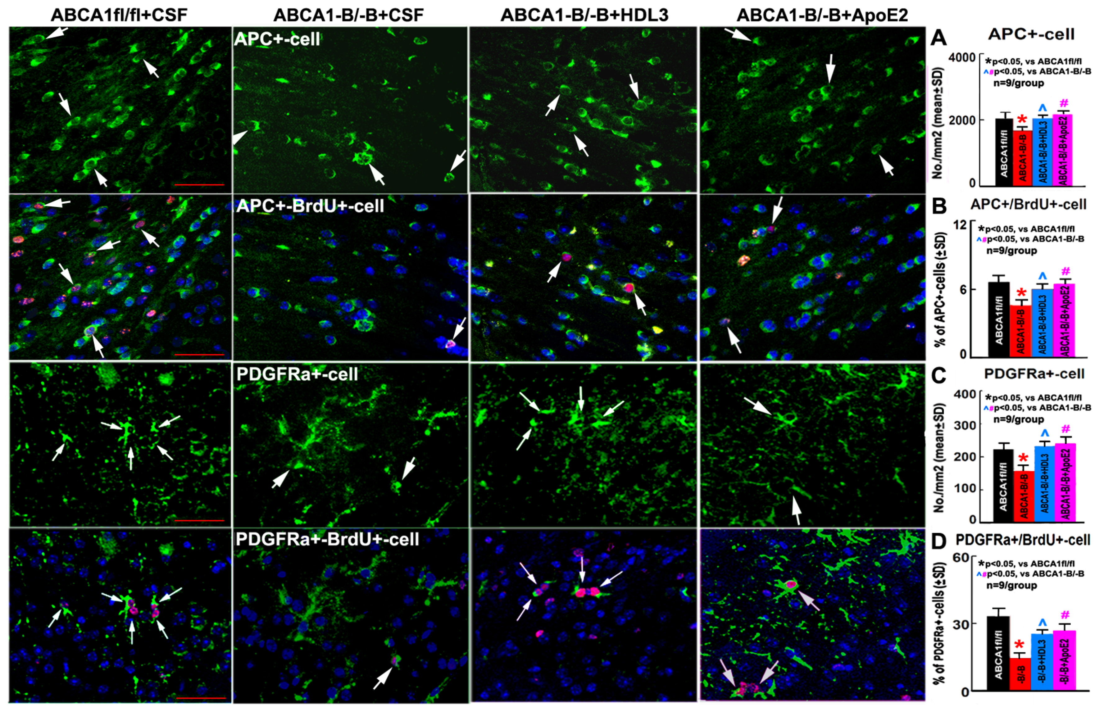 Ijms 21 04369 g004 Ijms 21 04369 g004