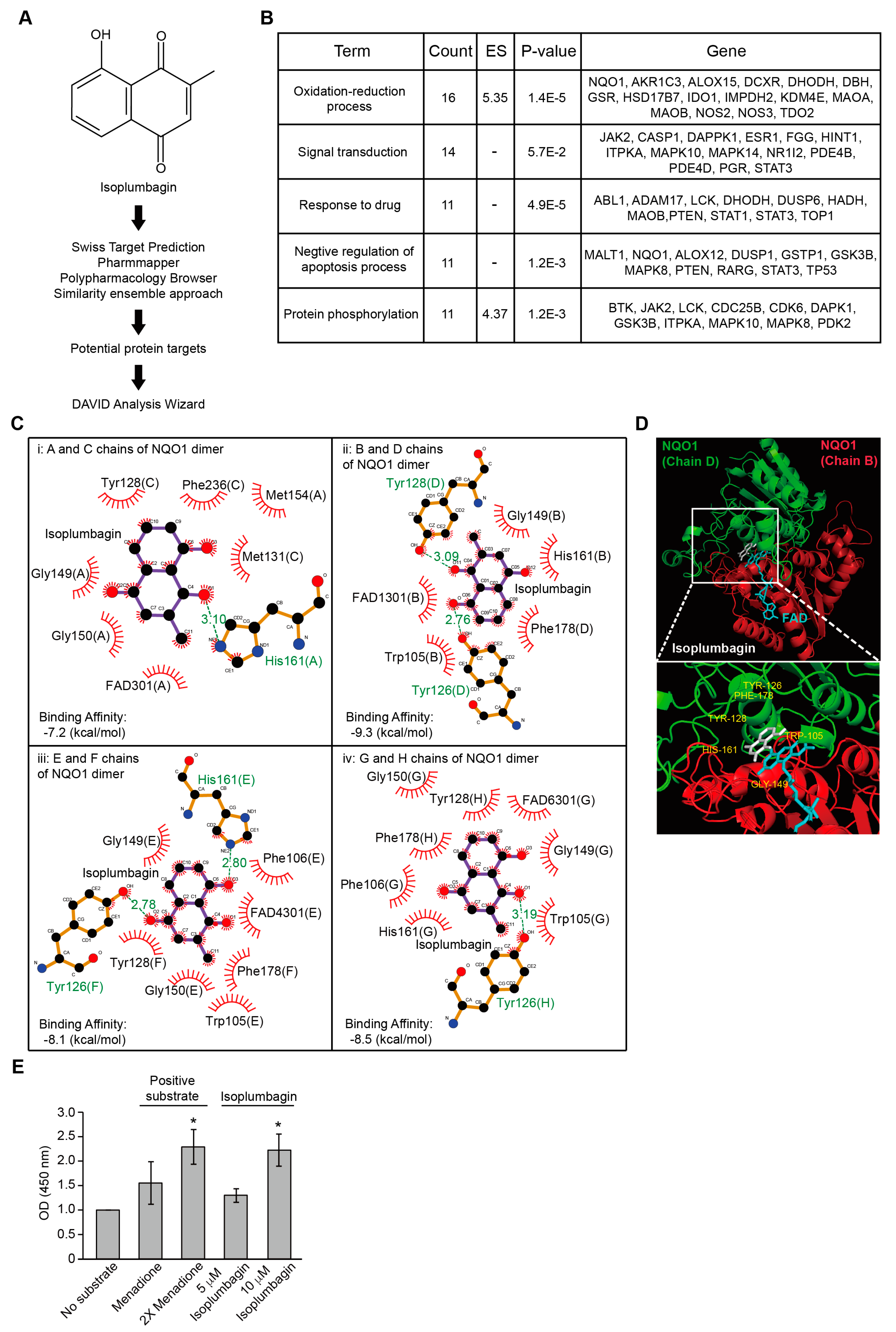 Ijms 21 04378 g003 Ijms 21 04378 g003