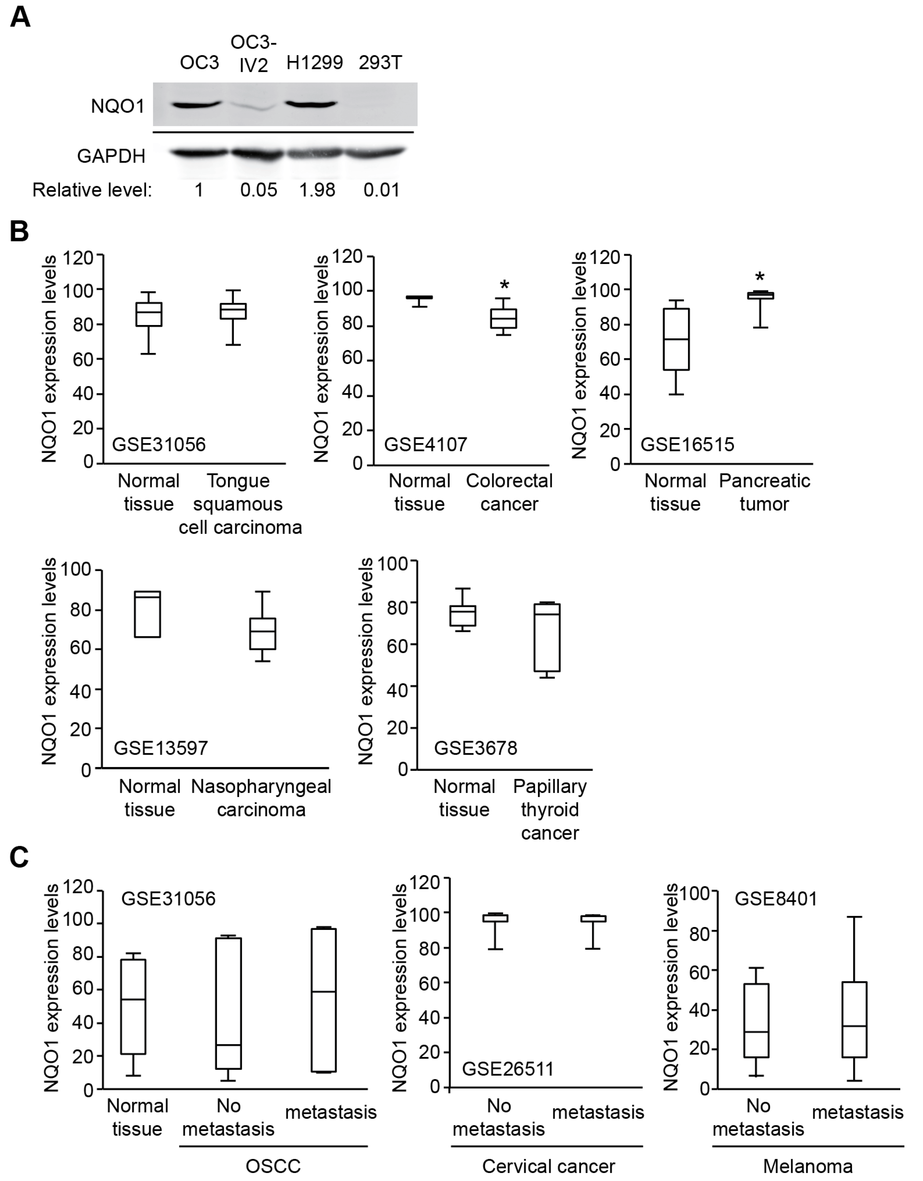 Ijms 21 04378 g004 Ijms 21 04378 g004