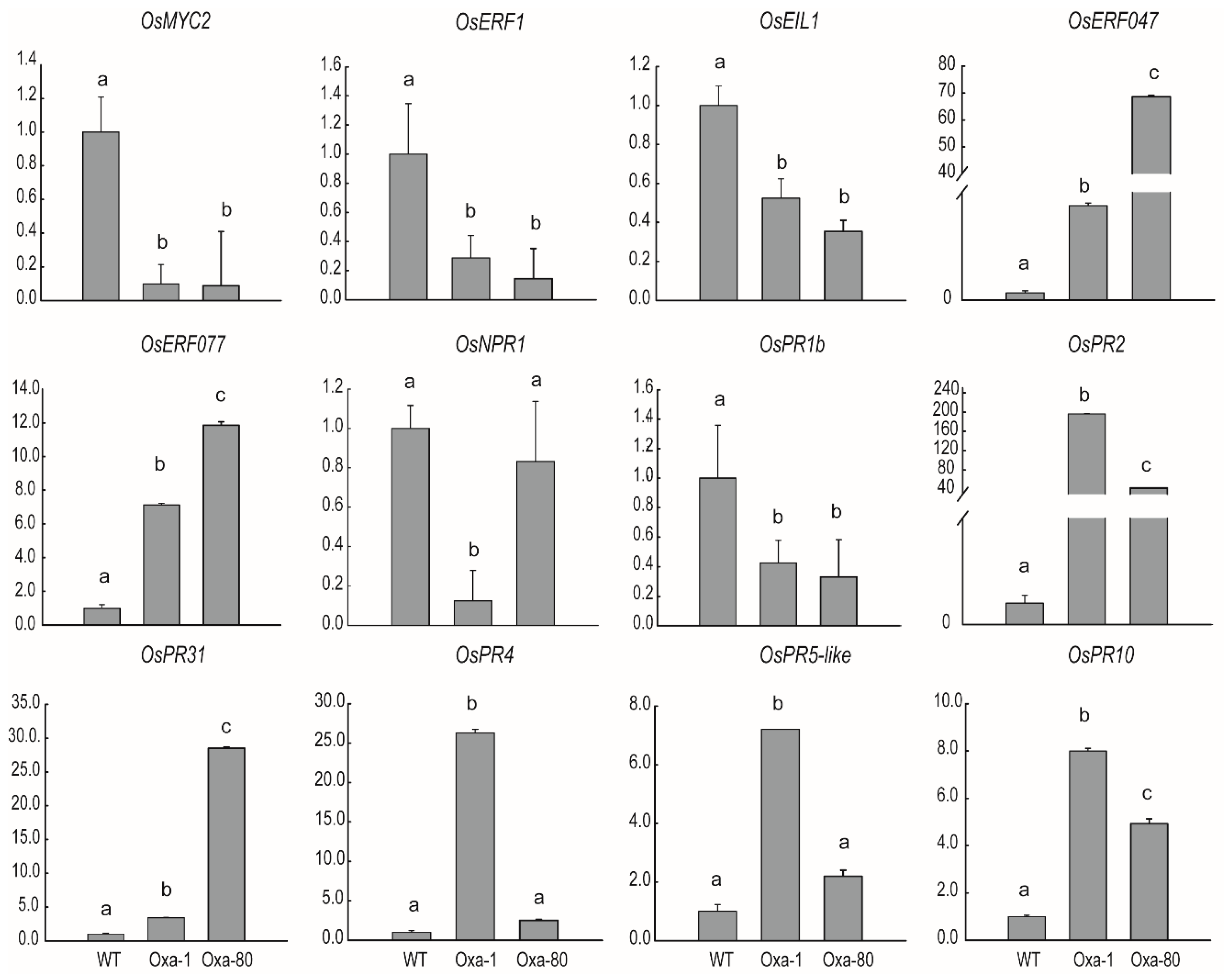 Ijms 21 04379 g009 Ijms 21 04379 g009