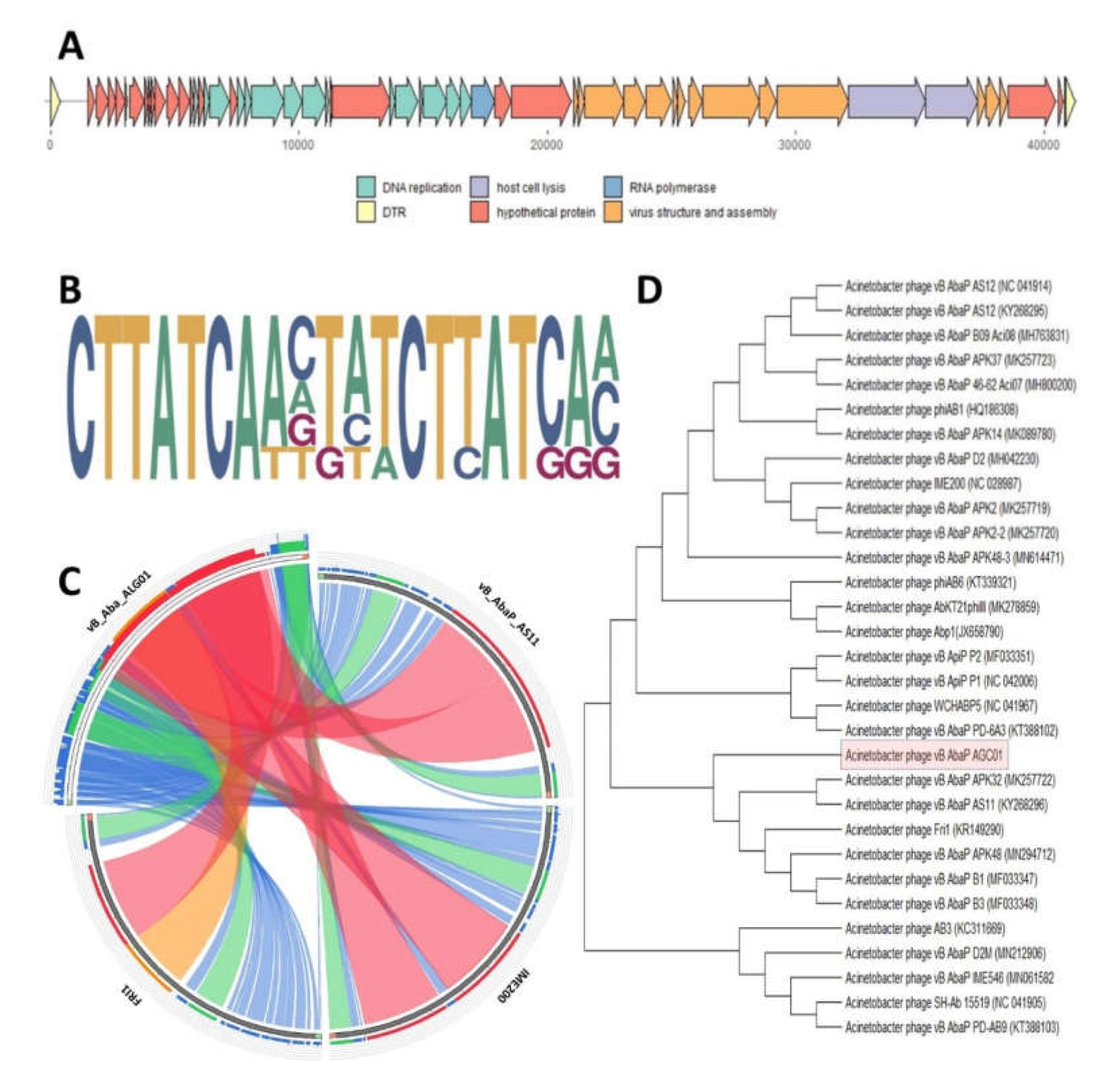 Ijms 21 04390 g002 Ijms 21 04390 g002