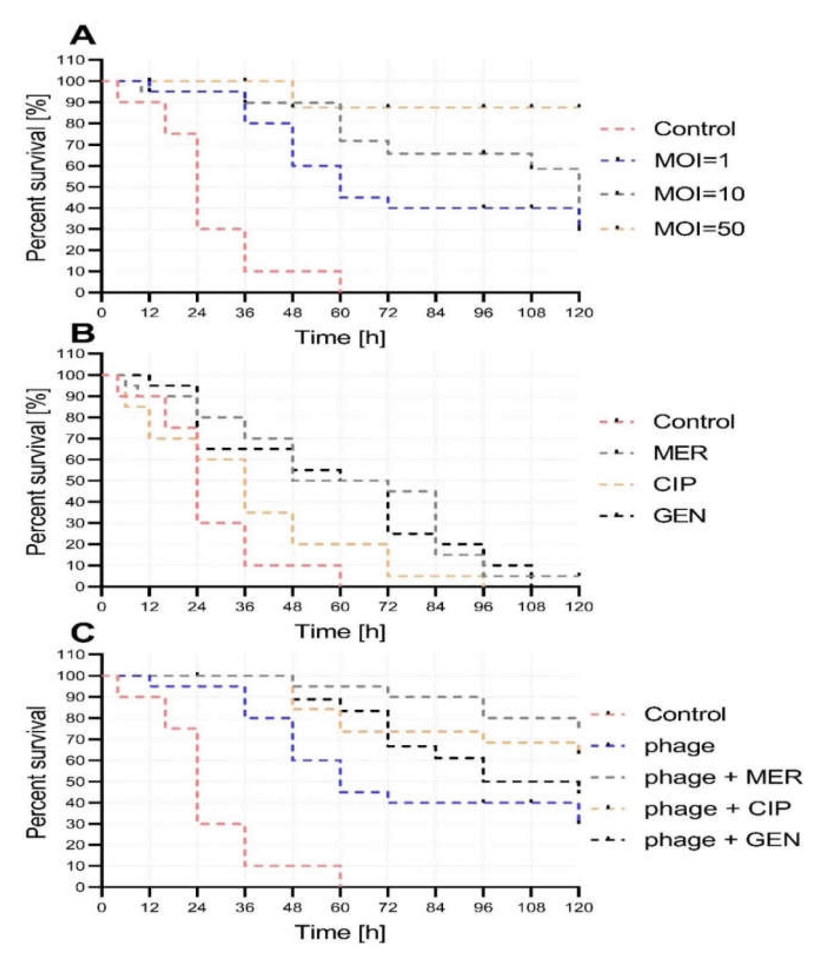 Ijms 21 04390 g004 Ijms 21 04390 g004