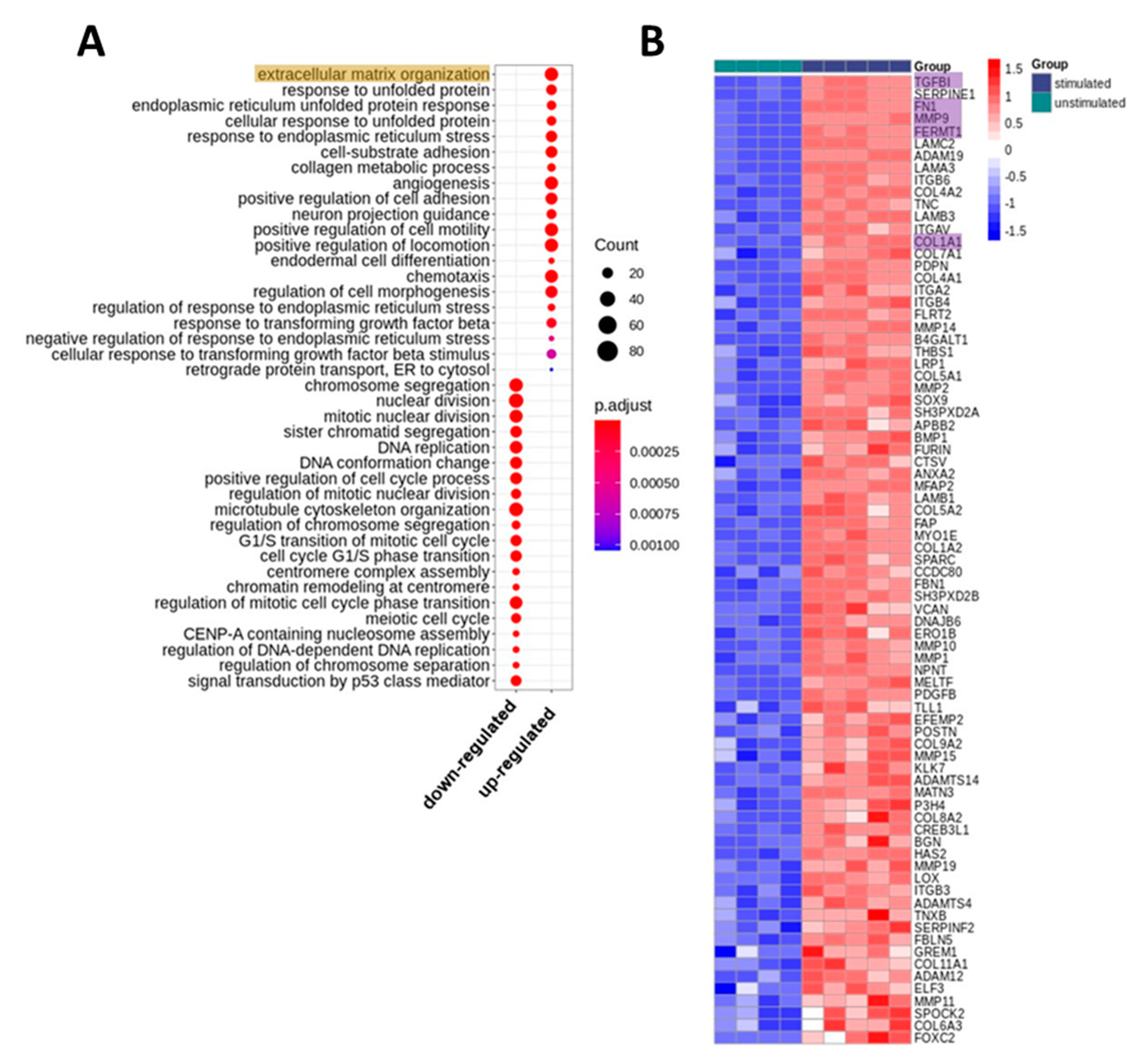Ijms 21 04404 g001 Ijms 21 04404 g001