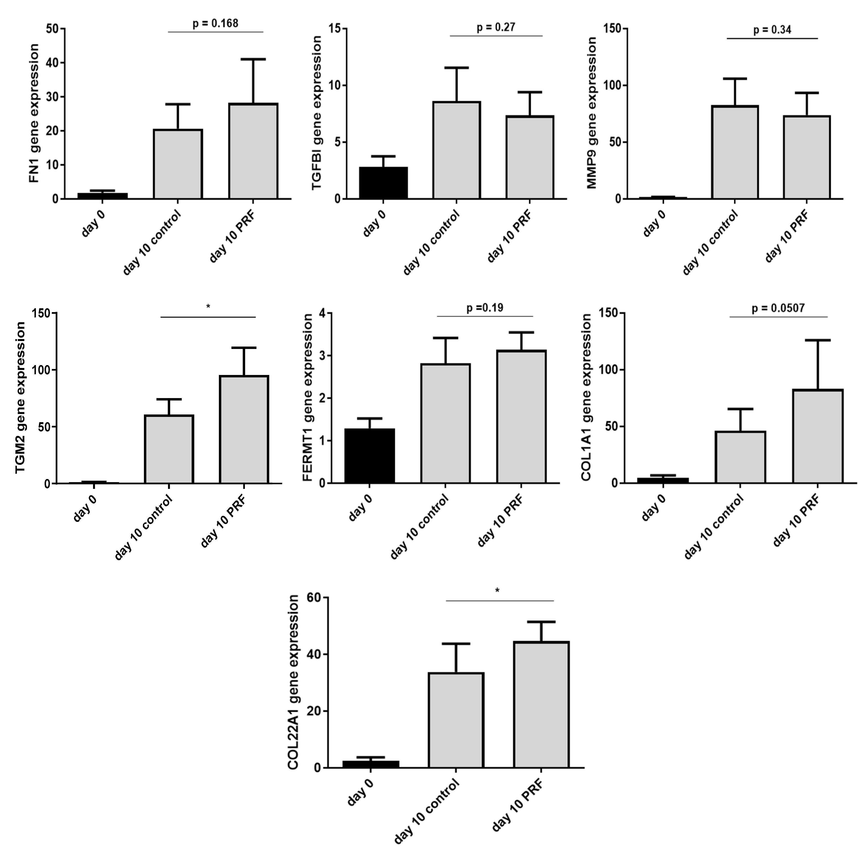 Ijms 21 04404 g006 Ijms 21 04404 g006
