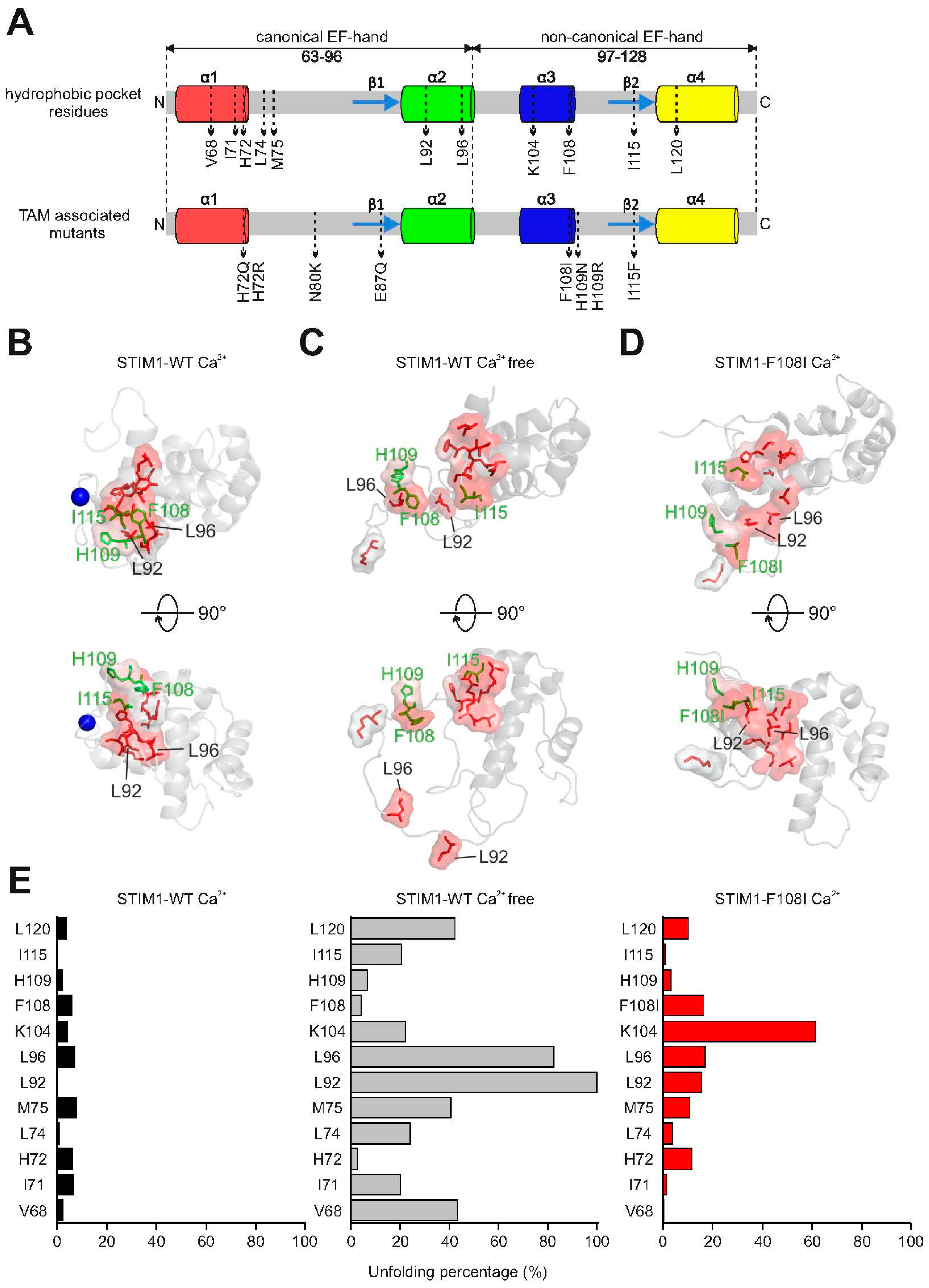 Ijms 21 04410 g002 Ijms 21 04410 g002