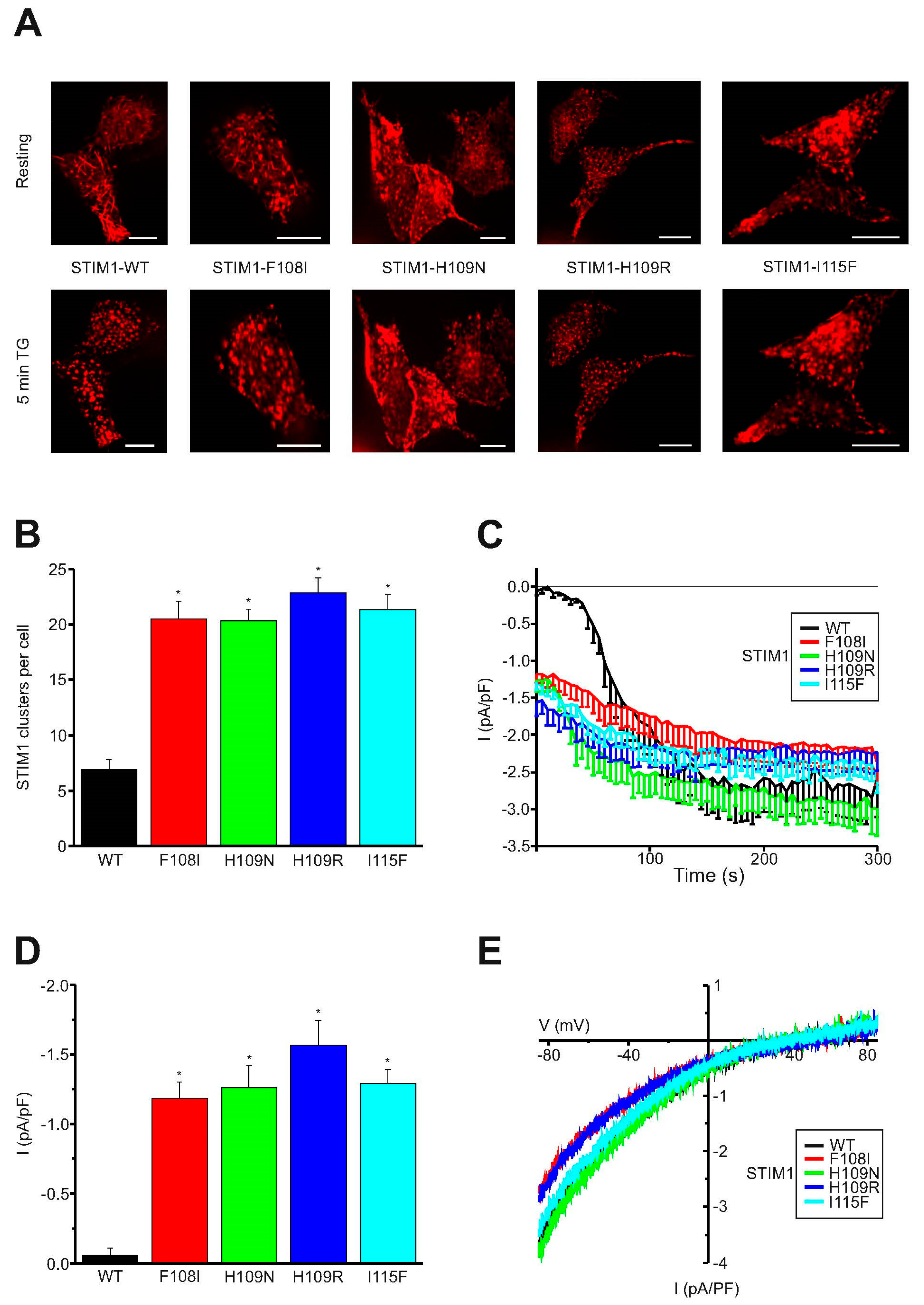 Ijms 21 04410 g003 Ijms 21 04410 g003