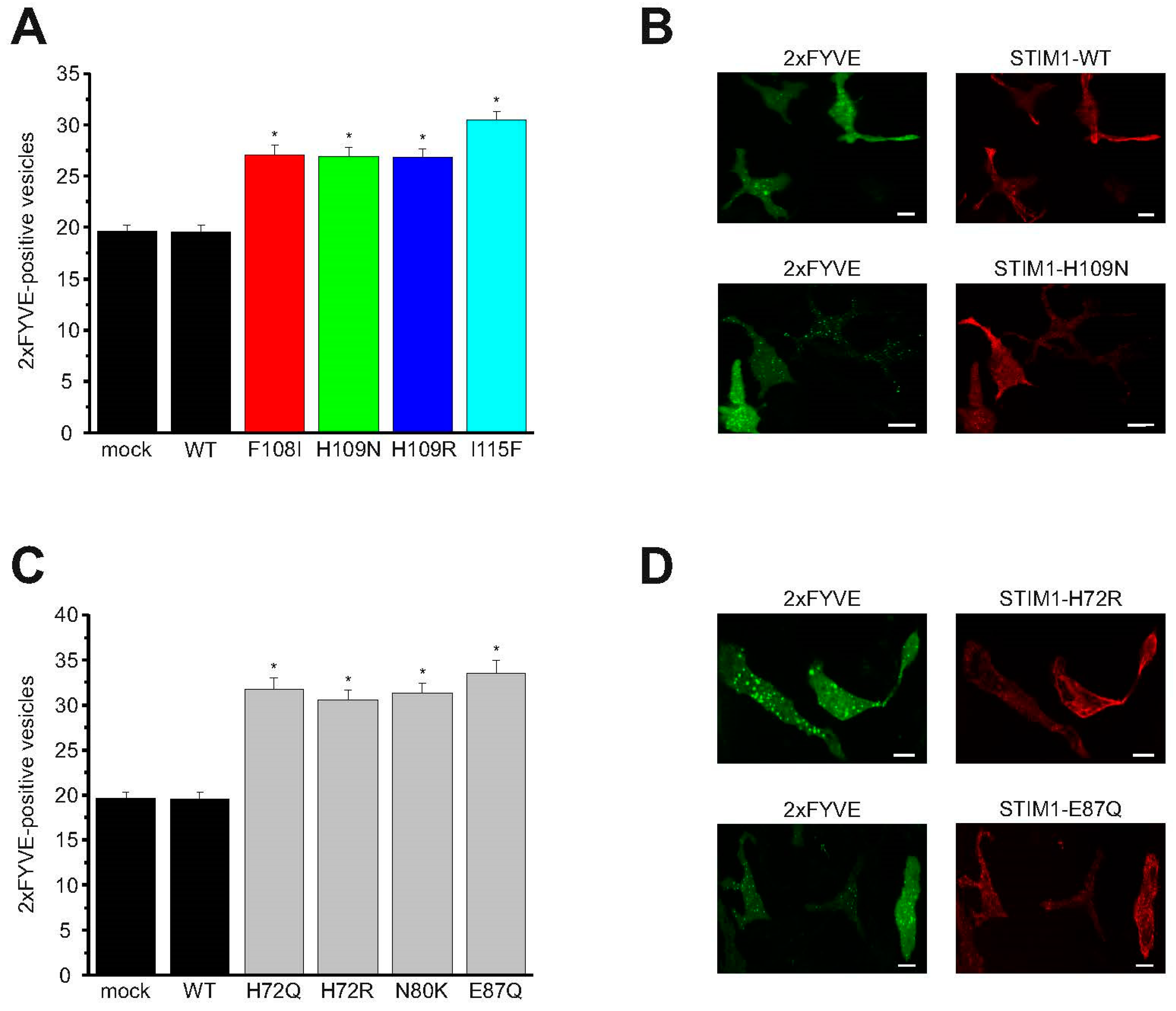 Ijms 21 04410 g005 Ijms 21 04410 g005