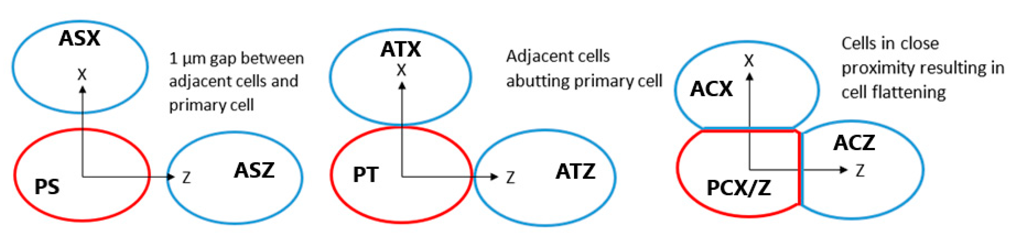 Ijms 21 04431 g009 Ijms 21 04431 g009
