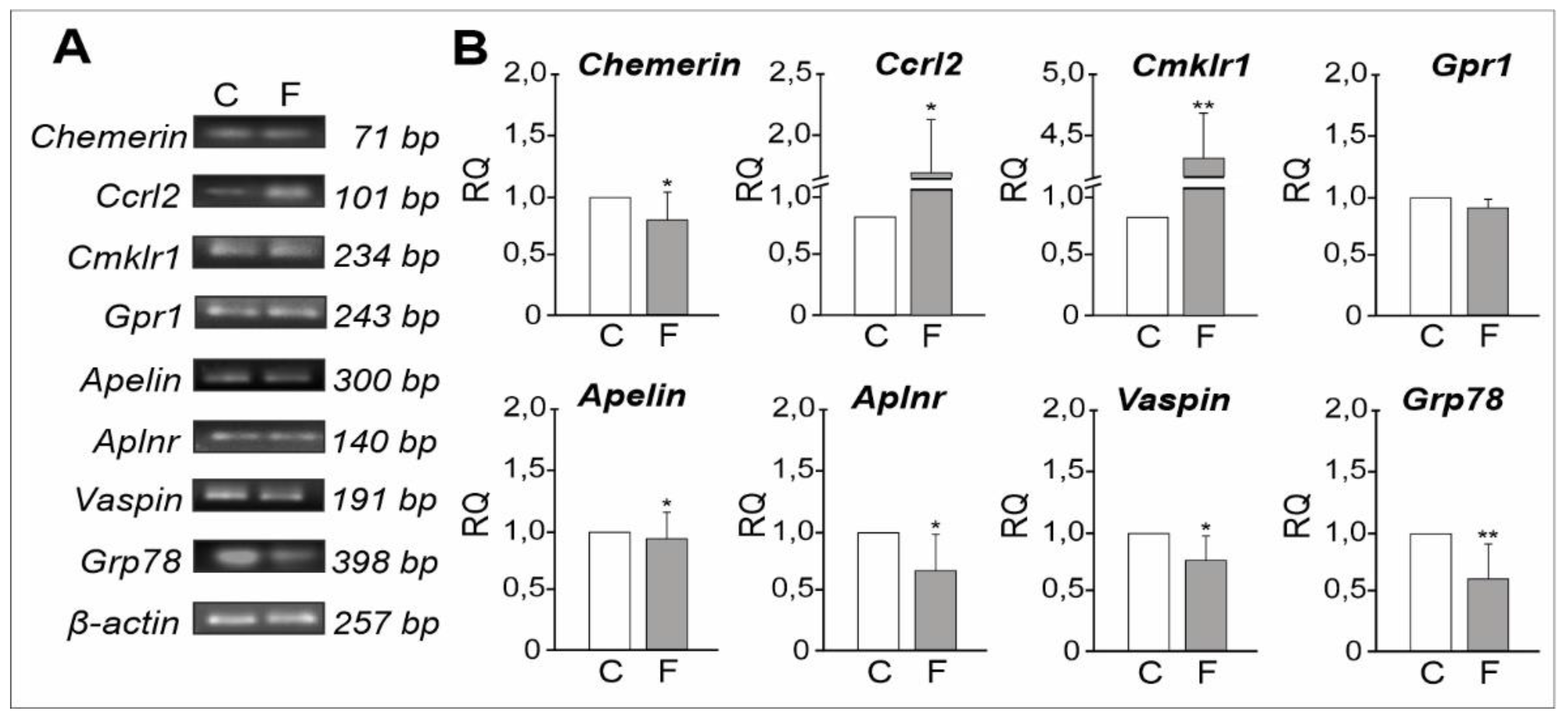 Ijms 21 04439 g003 Ijms 21 04439 g003