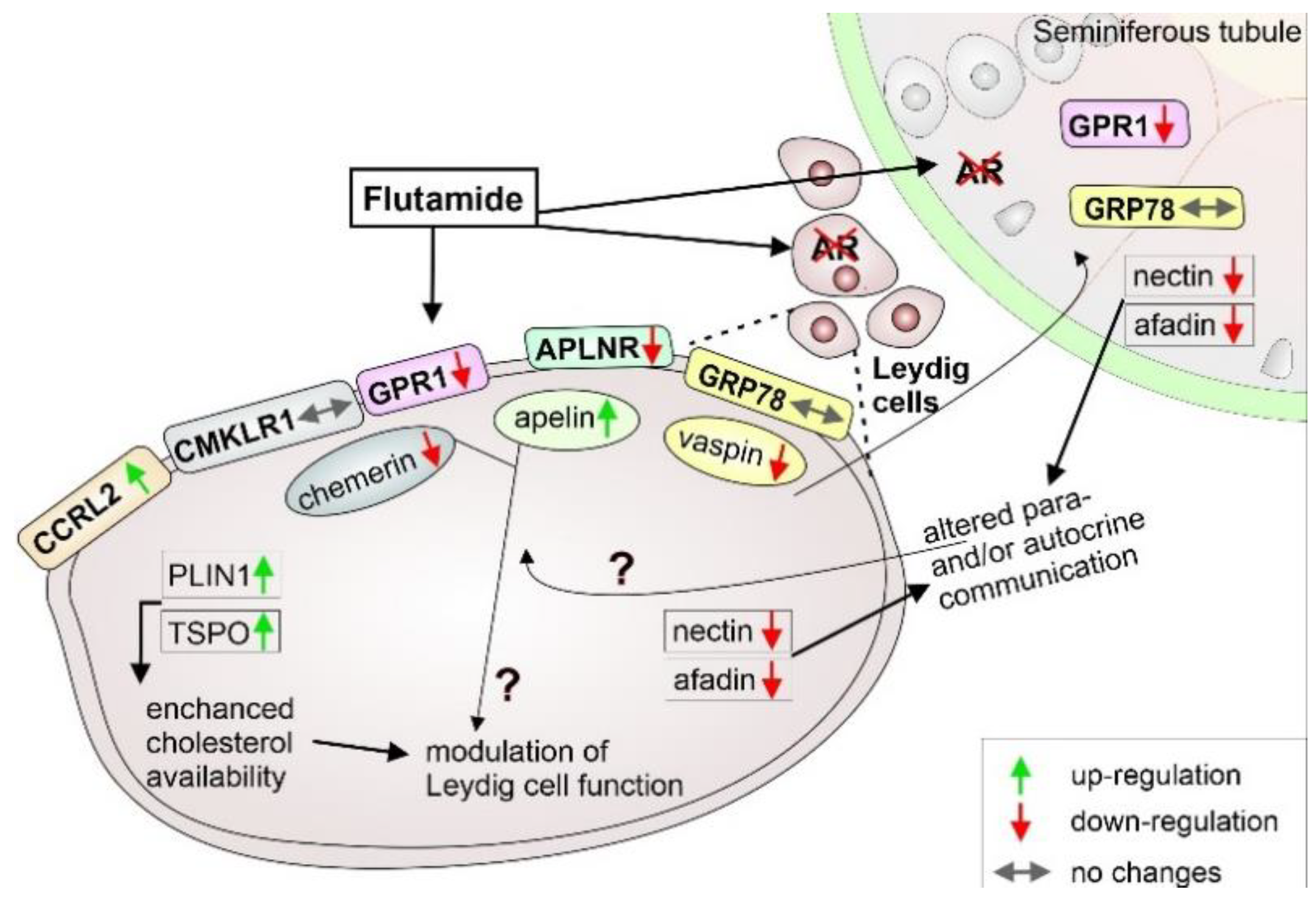 Ijms 21 04439 g006 Ijms 21 04439 g006