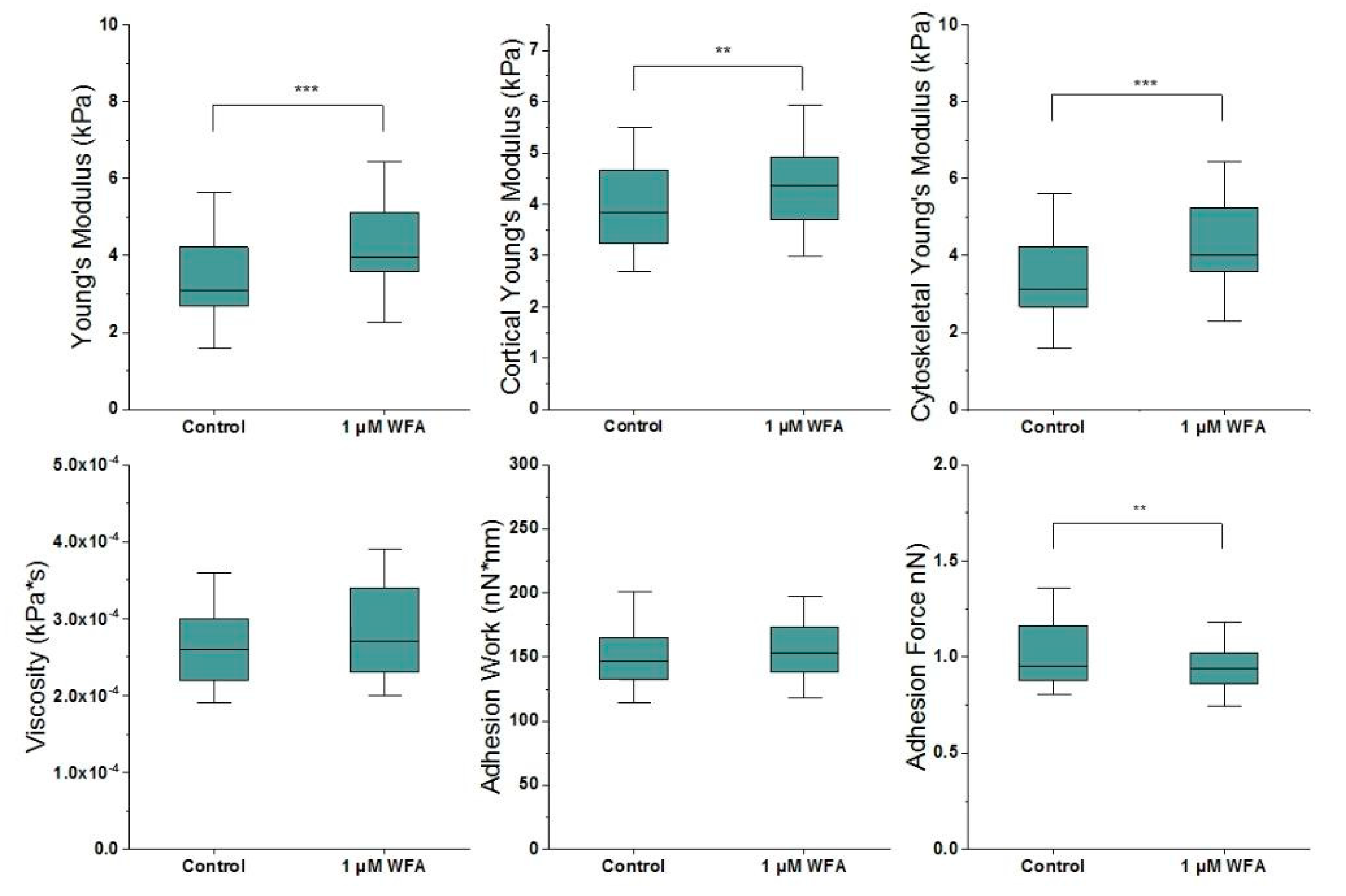 Ijms 21 04450 g003 Ijms 21 04450 g003