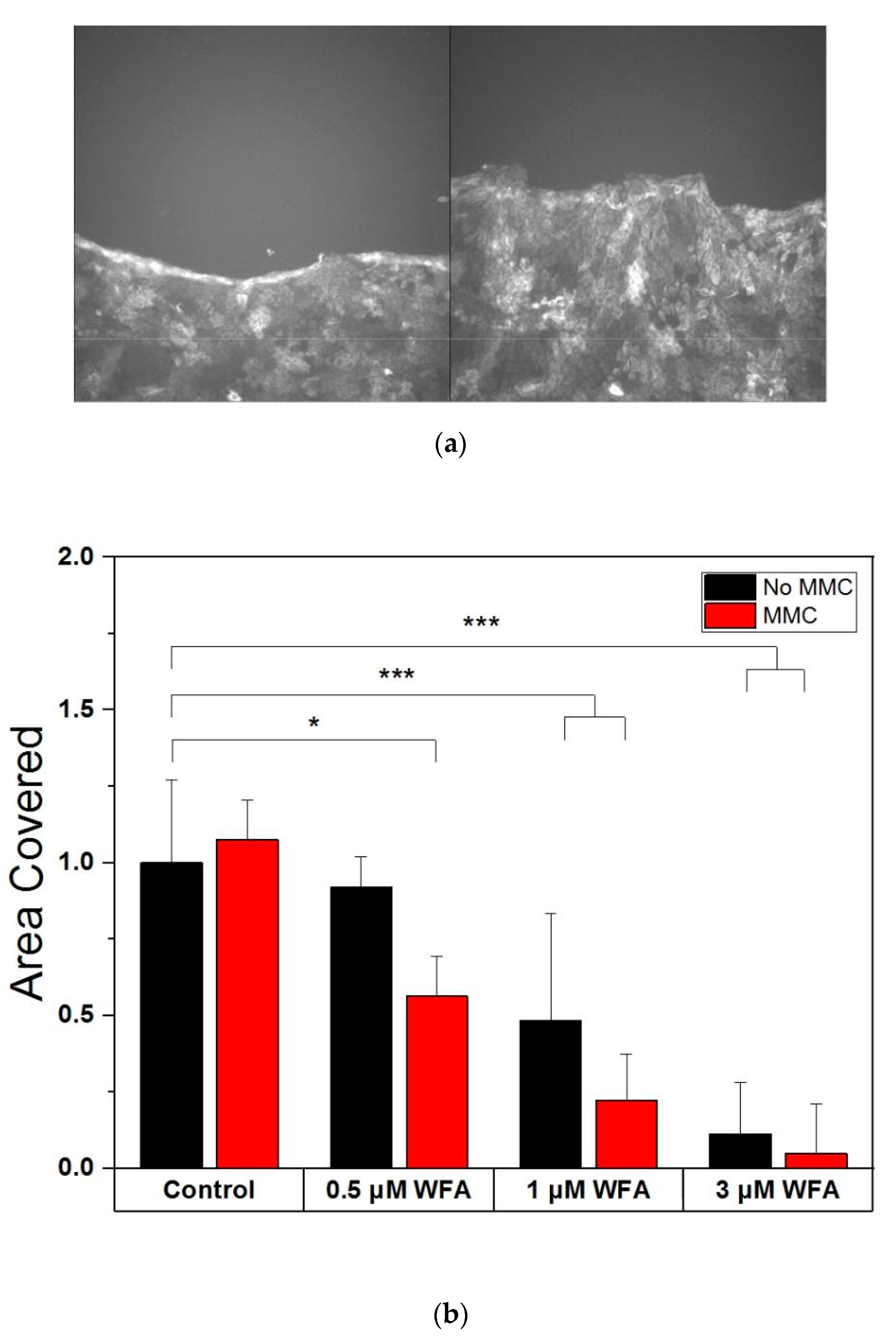 Ijms 21 04450 g004 Ijms 21 04450 g004