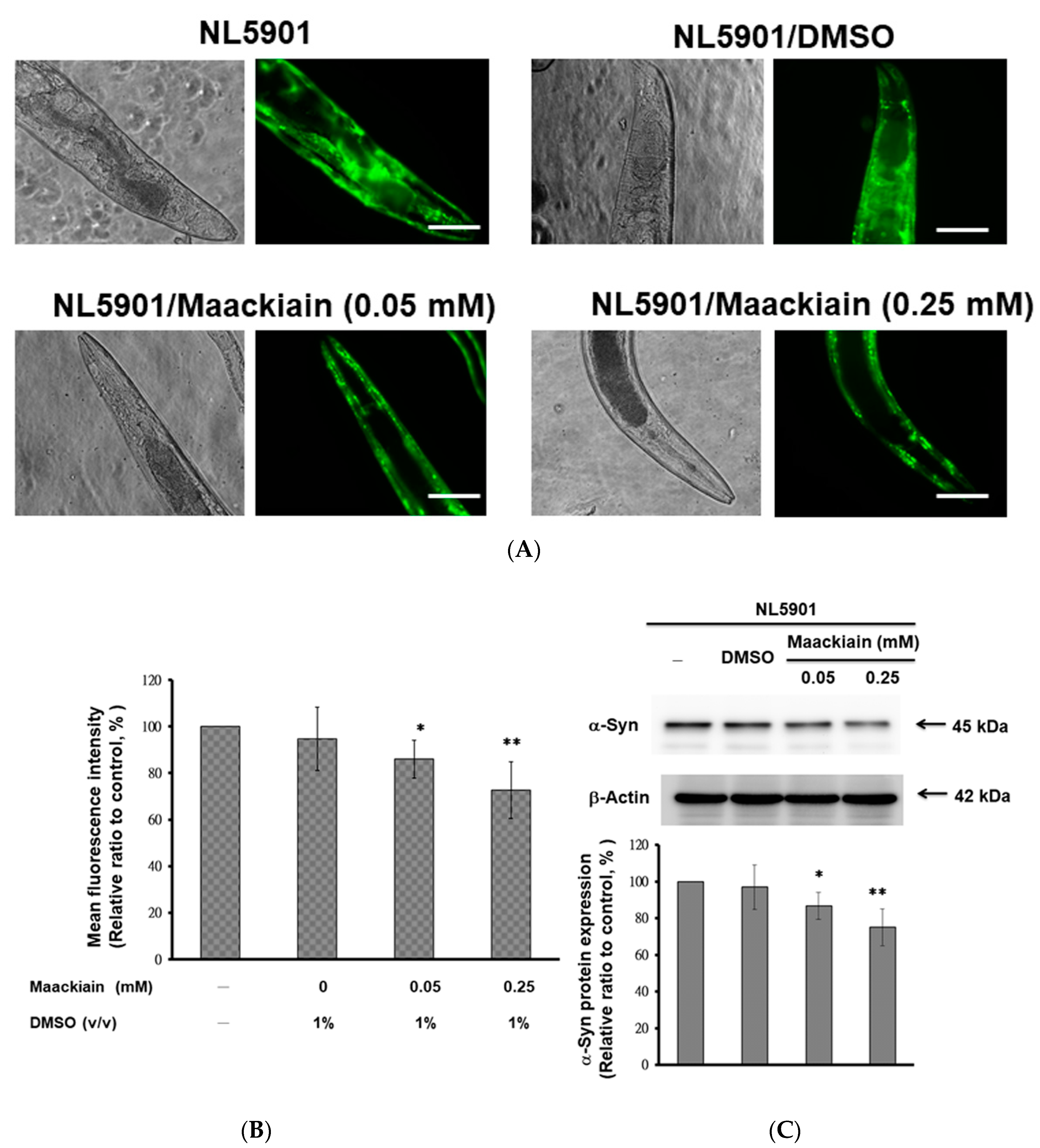Ijms 21 04455 g004 Ijms 21 04455 g004