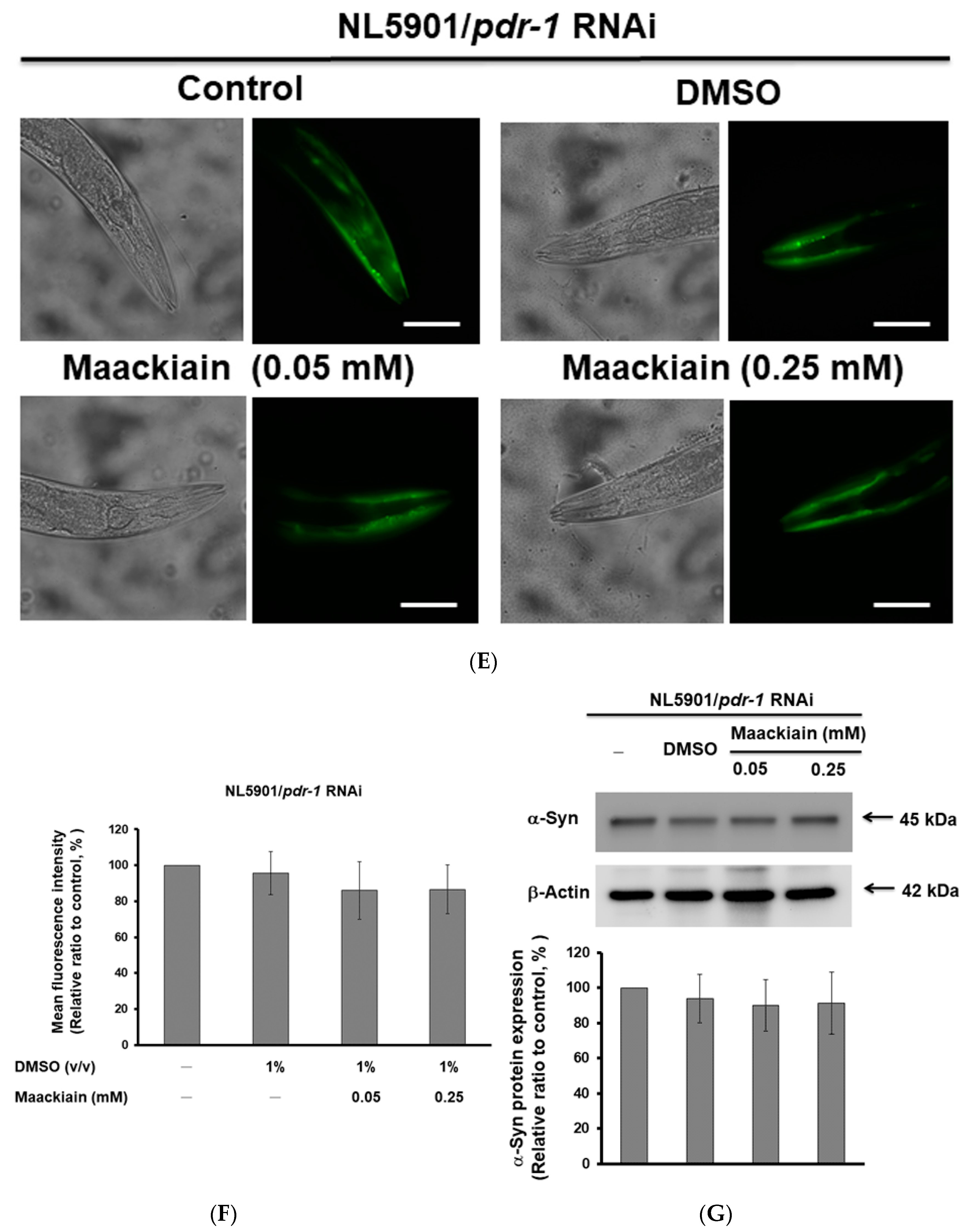 Ijms 21 04455 g007c Ijms 21 04455 g007c