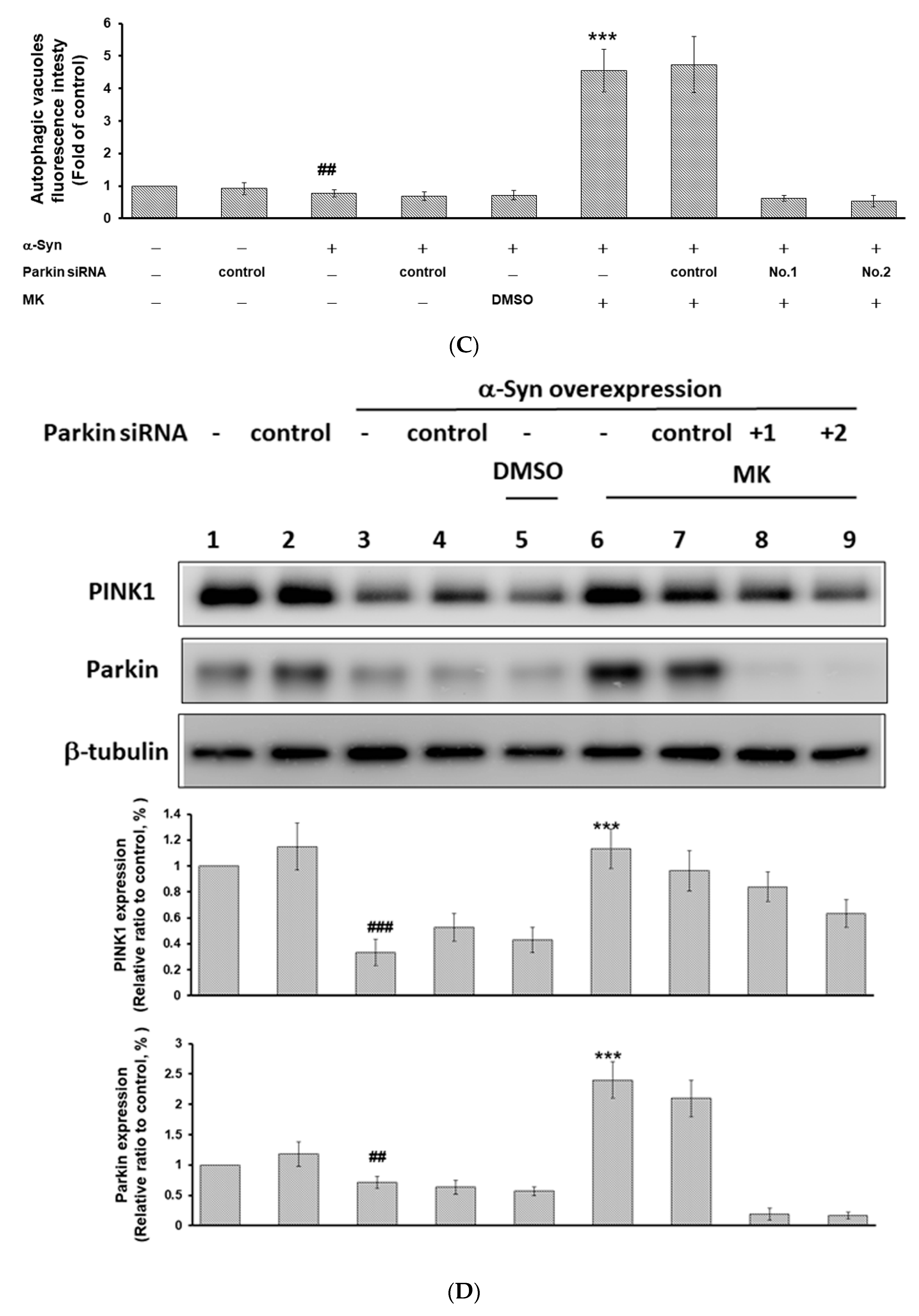 Ijms 21 04455 g010c Ijms 21 04455 g010c