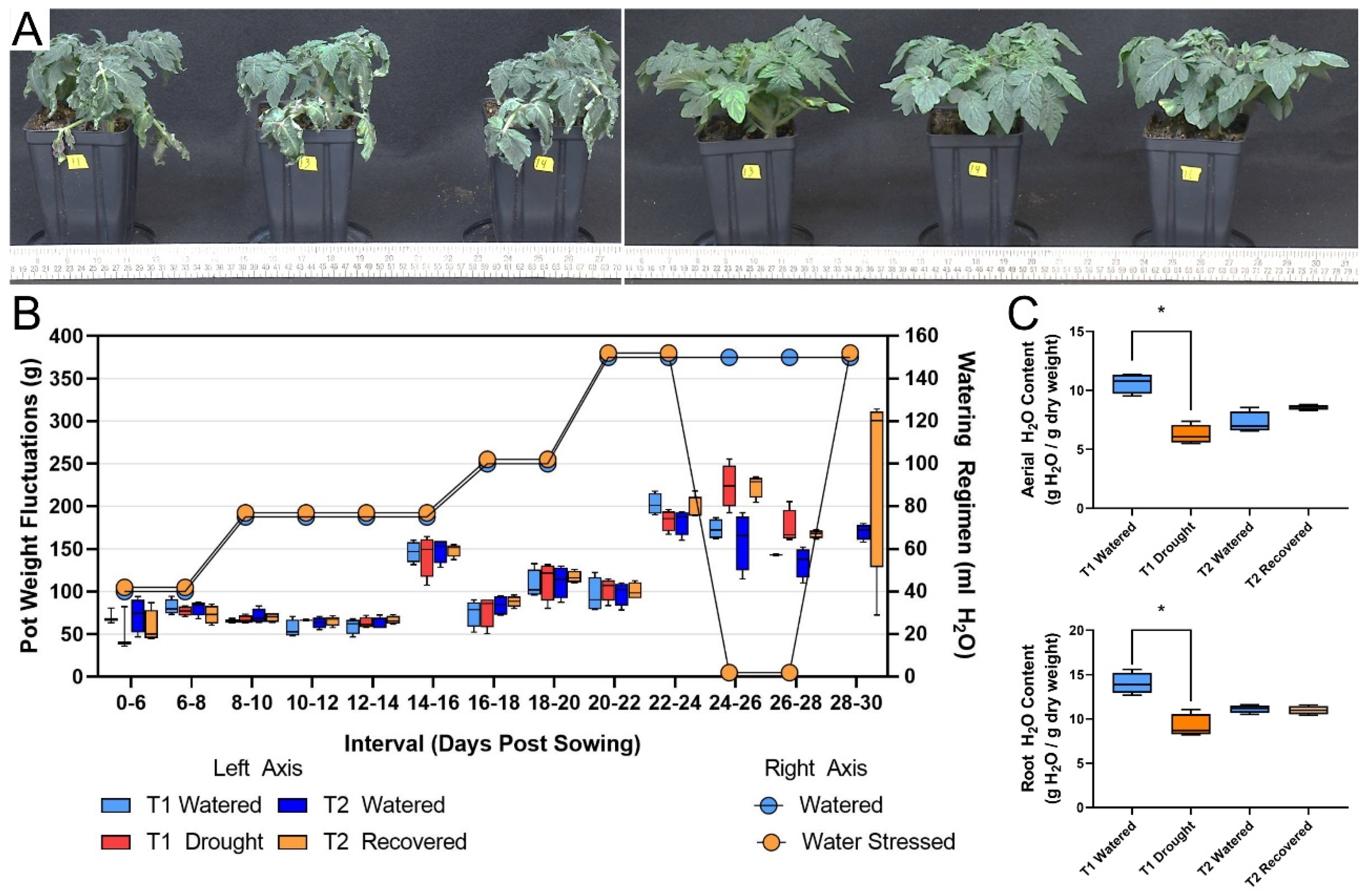 Ijms 21 04461 g001 Ijms 21 04461 g001
