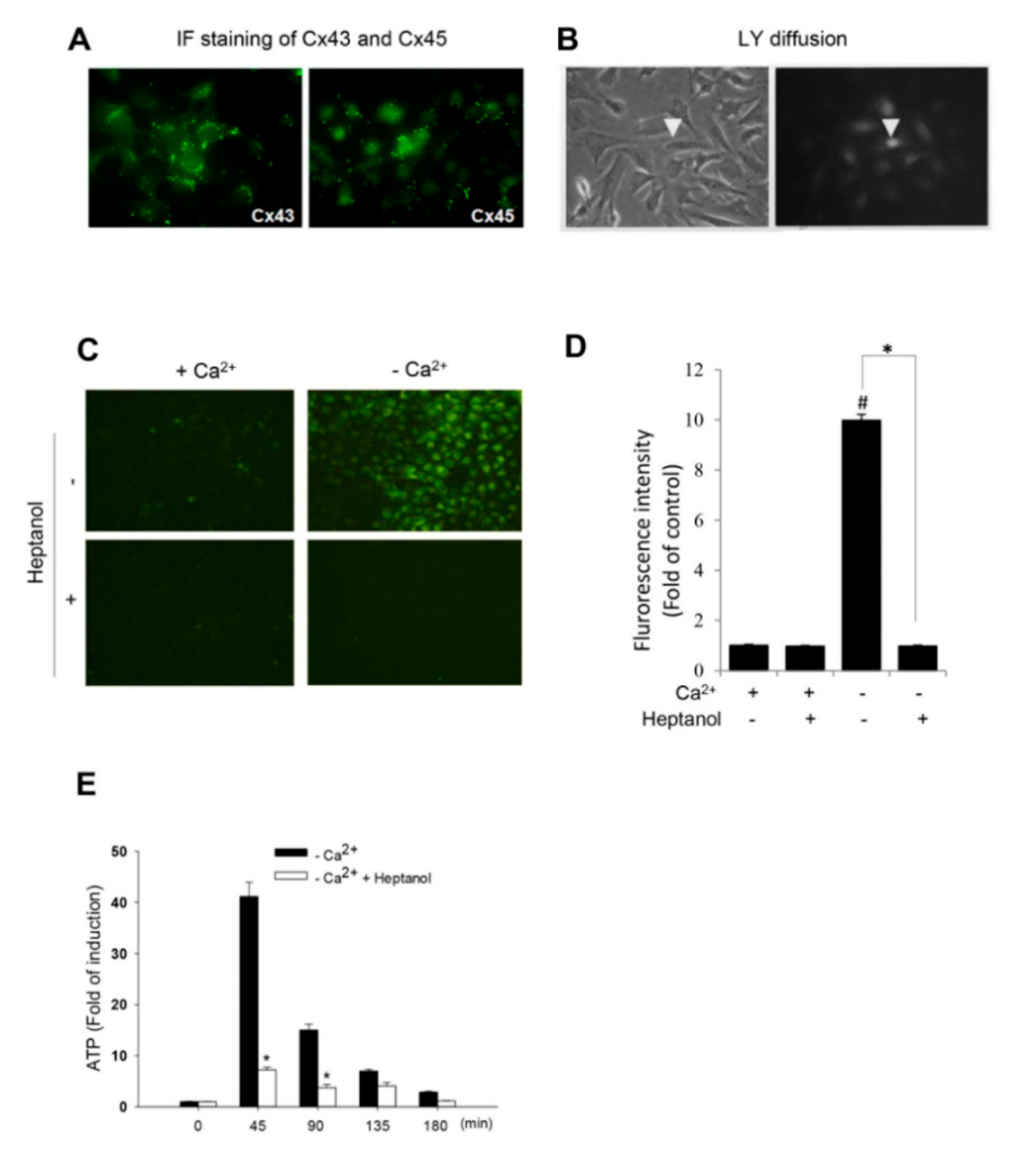 Ijms 21 04462 g001 Ijms 21 04462 g001