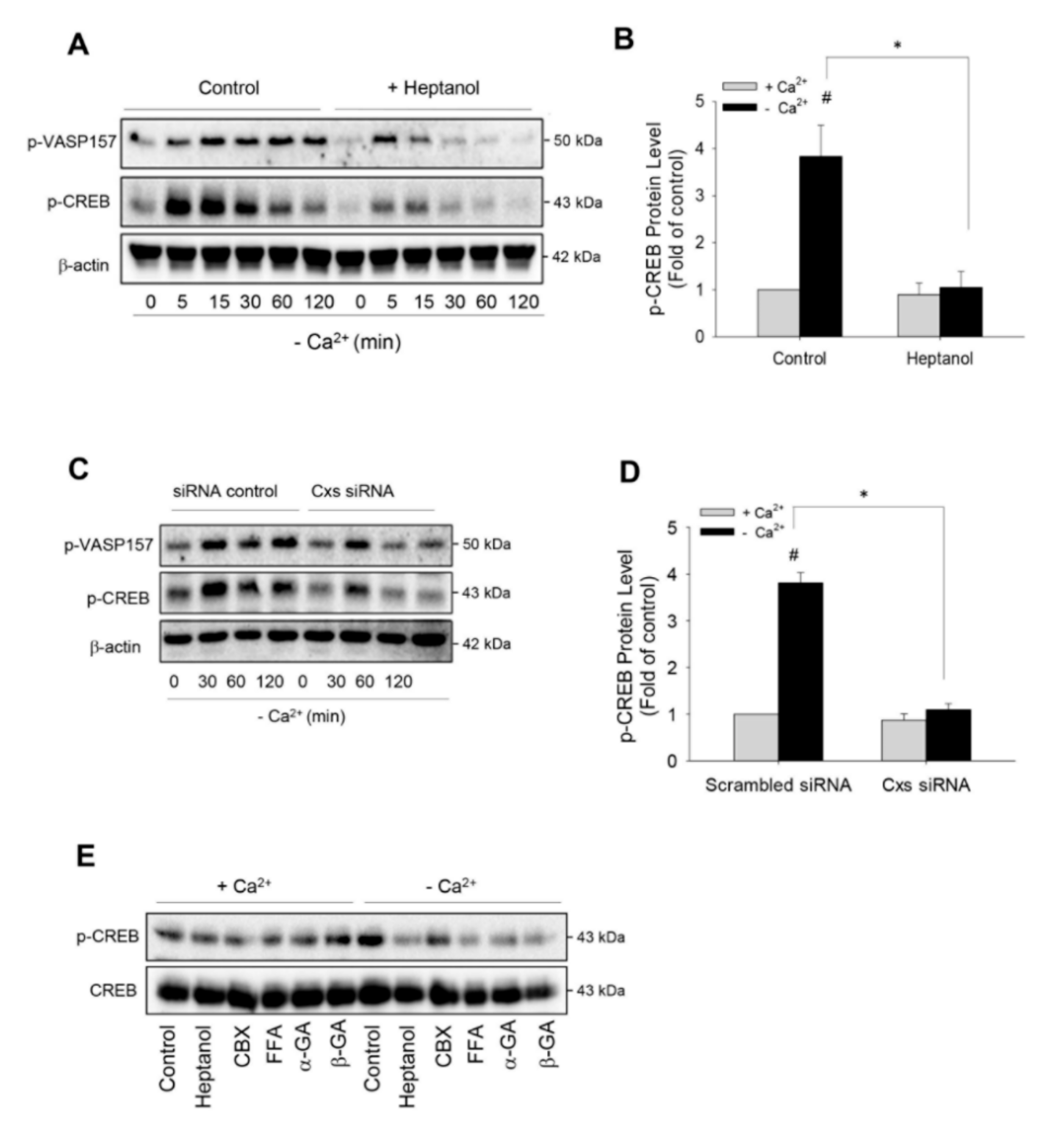 Ijms 21 04462 g002 Ijms 21 04462 g002