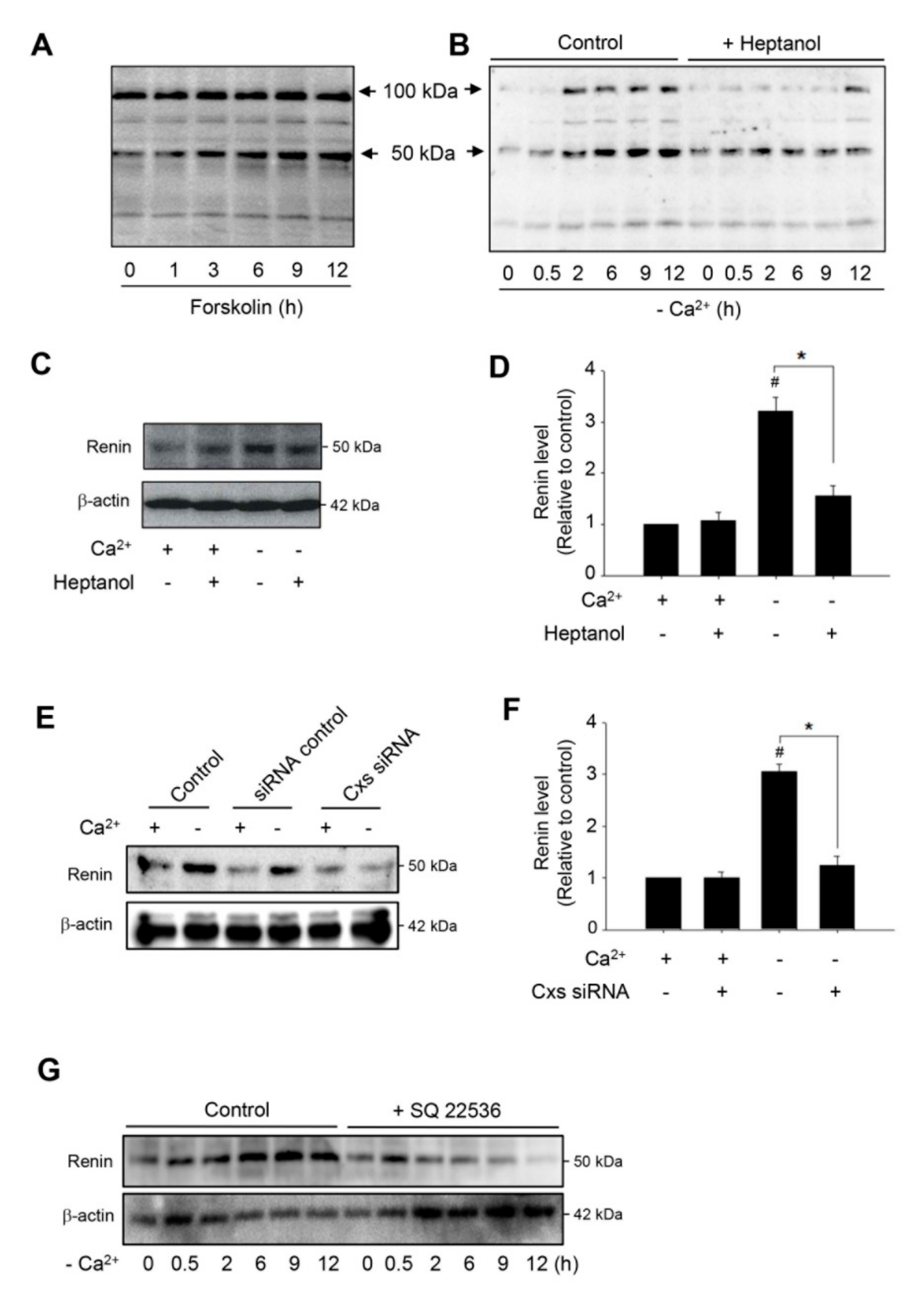 Ijms 21 04462 g004 Ijms 21 04462 g004