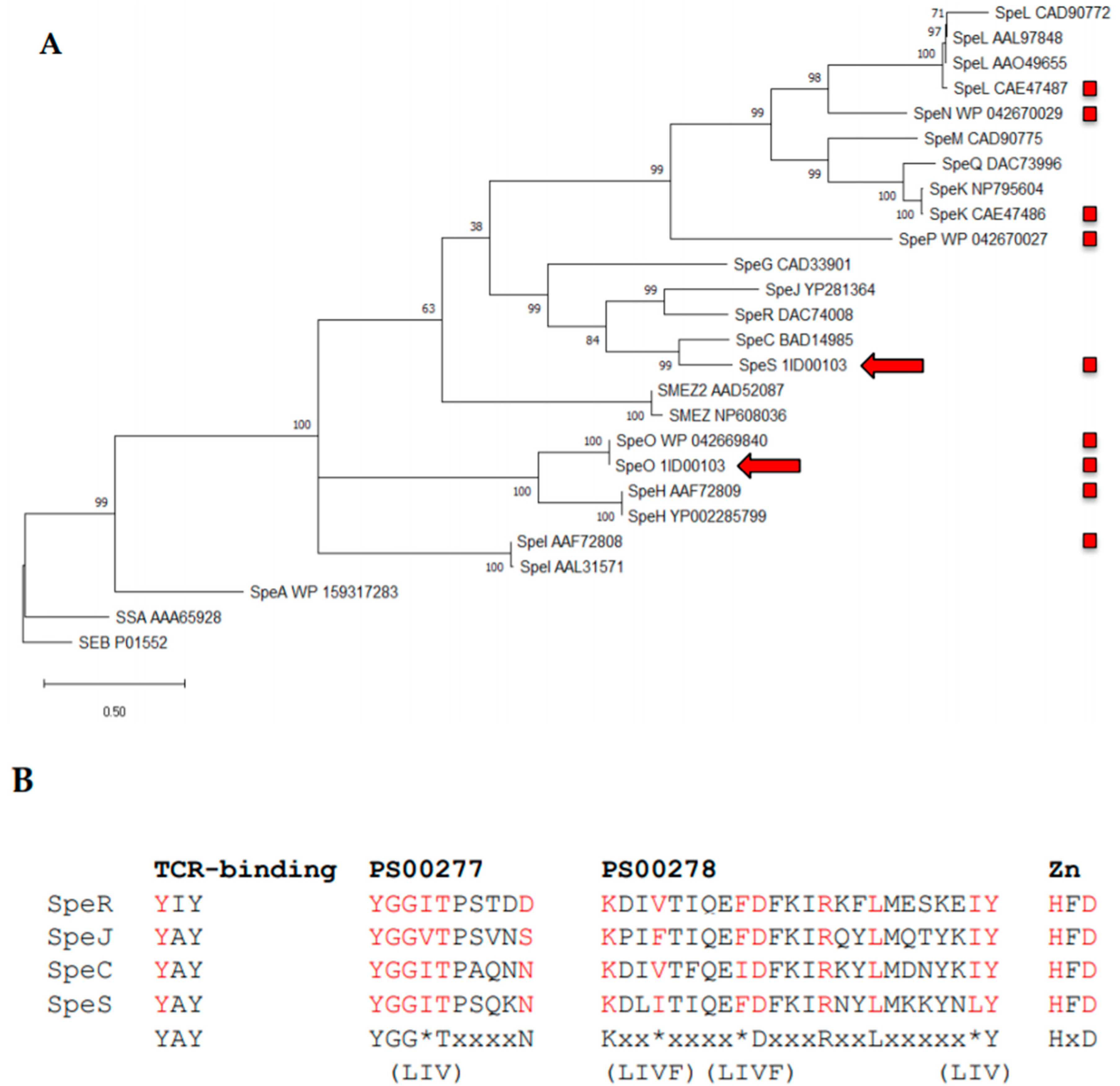 Ijms 21 04467 g001 Ijms 21 04467 g001