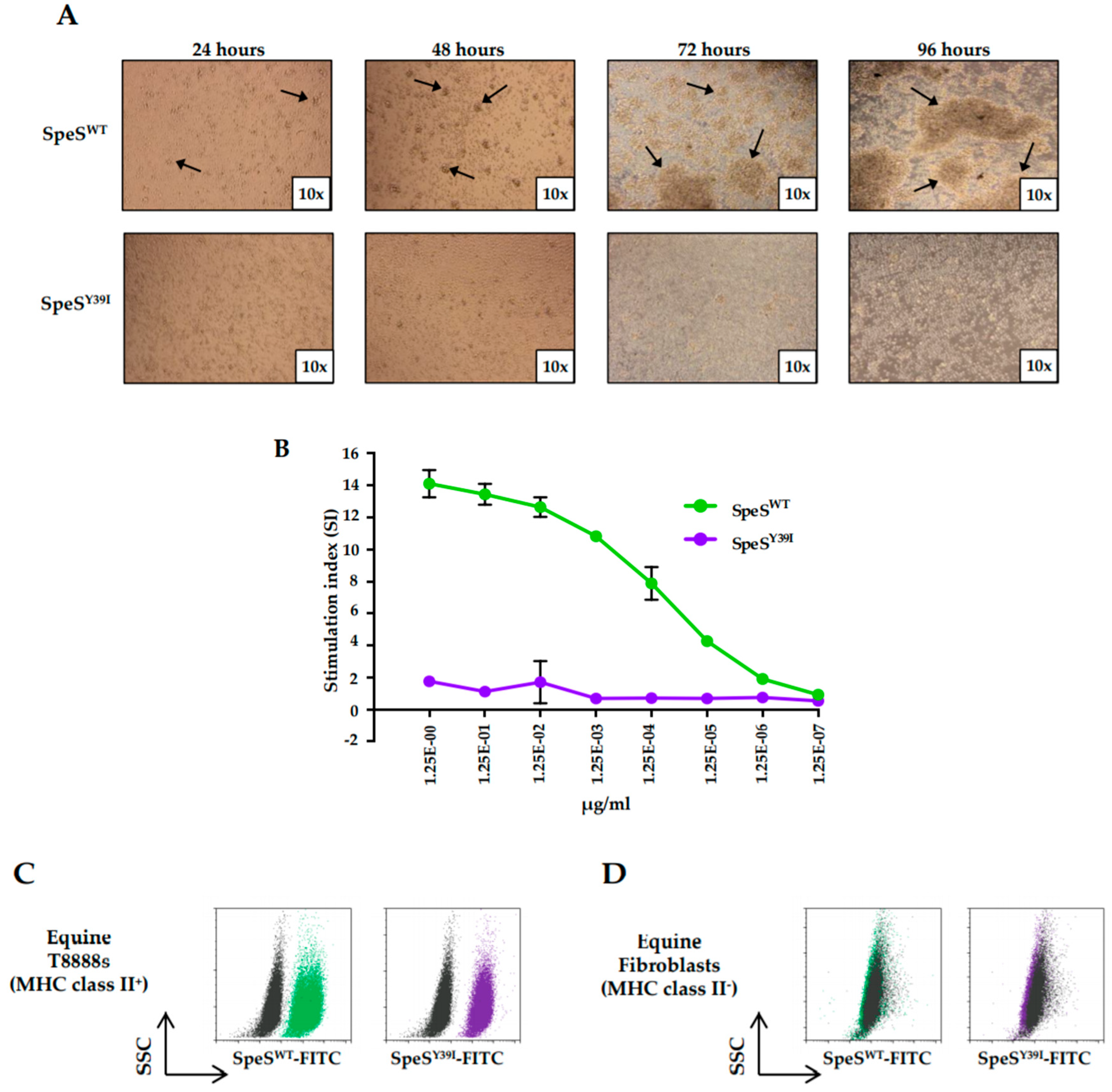 Ijms 21 04467 g002 Ijms 21 04467 g002