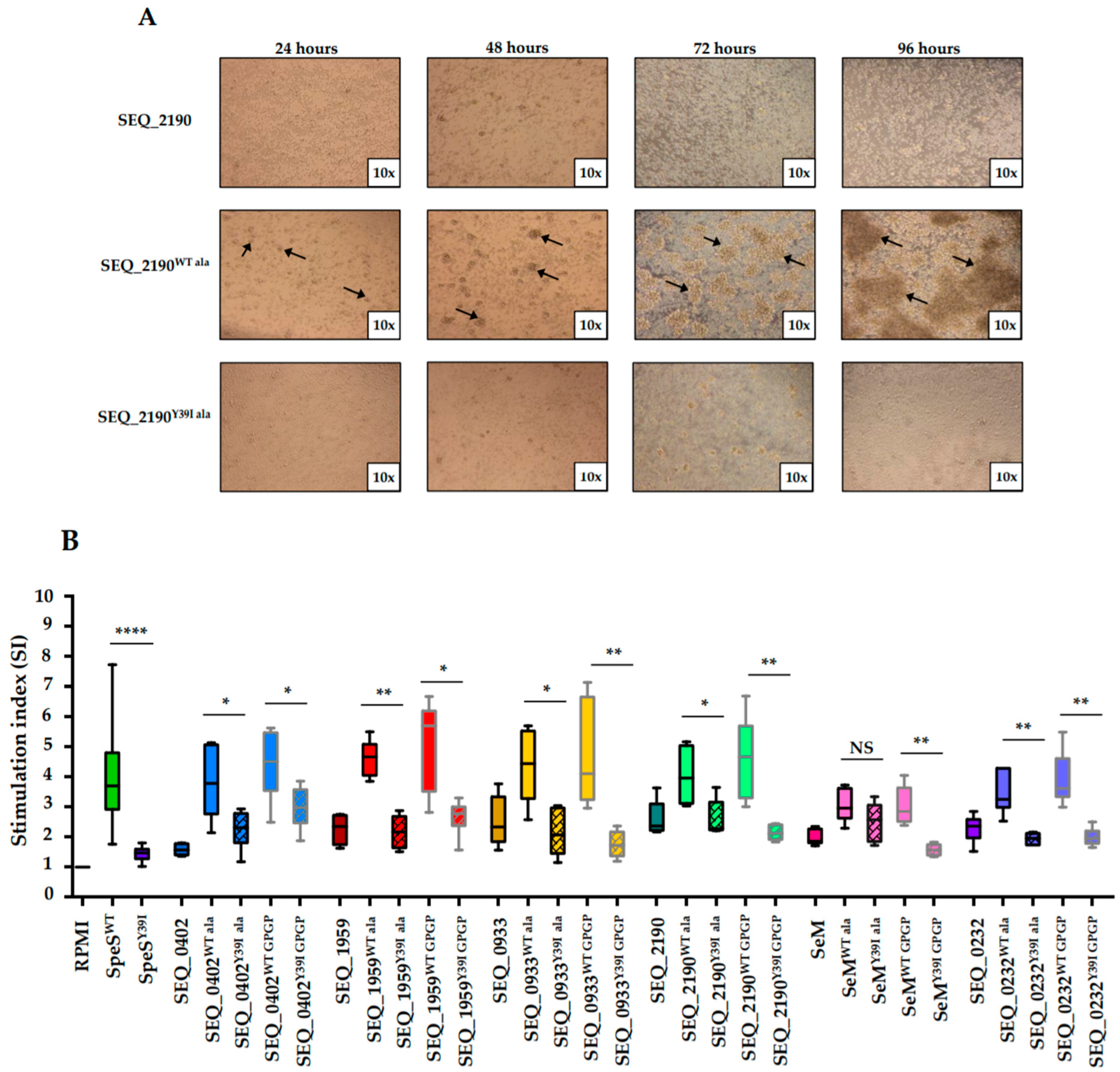 Ijms 21 04467 g003 Ijms 21 04467 g003