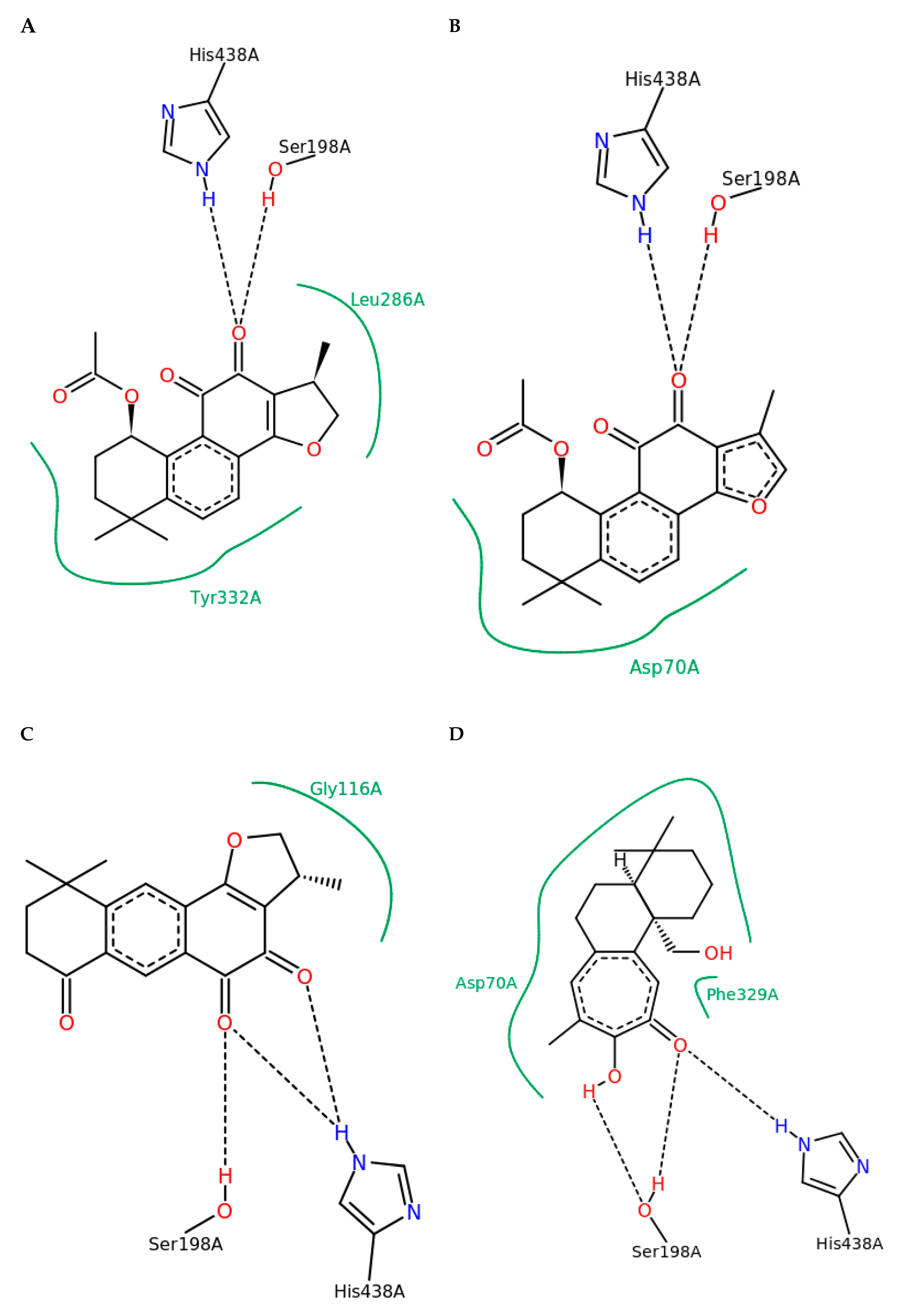 Ijms 21 04475 g003 Ijms 21 04475 g003