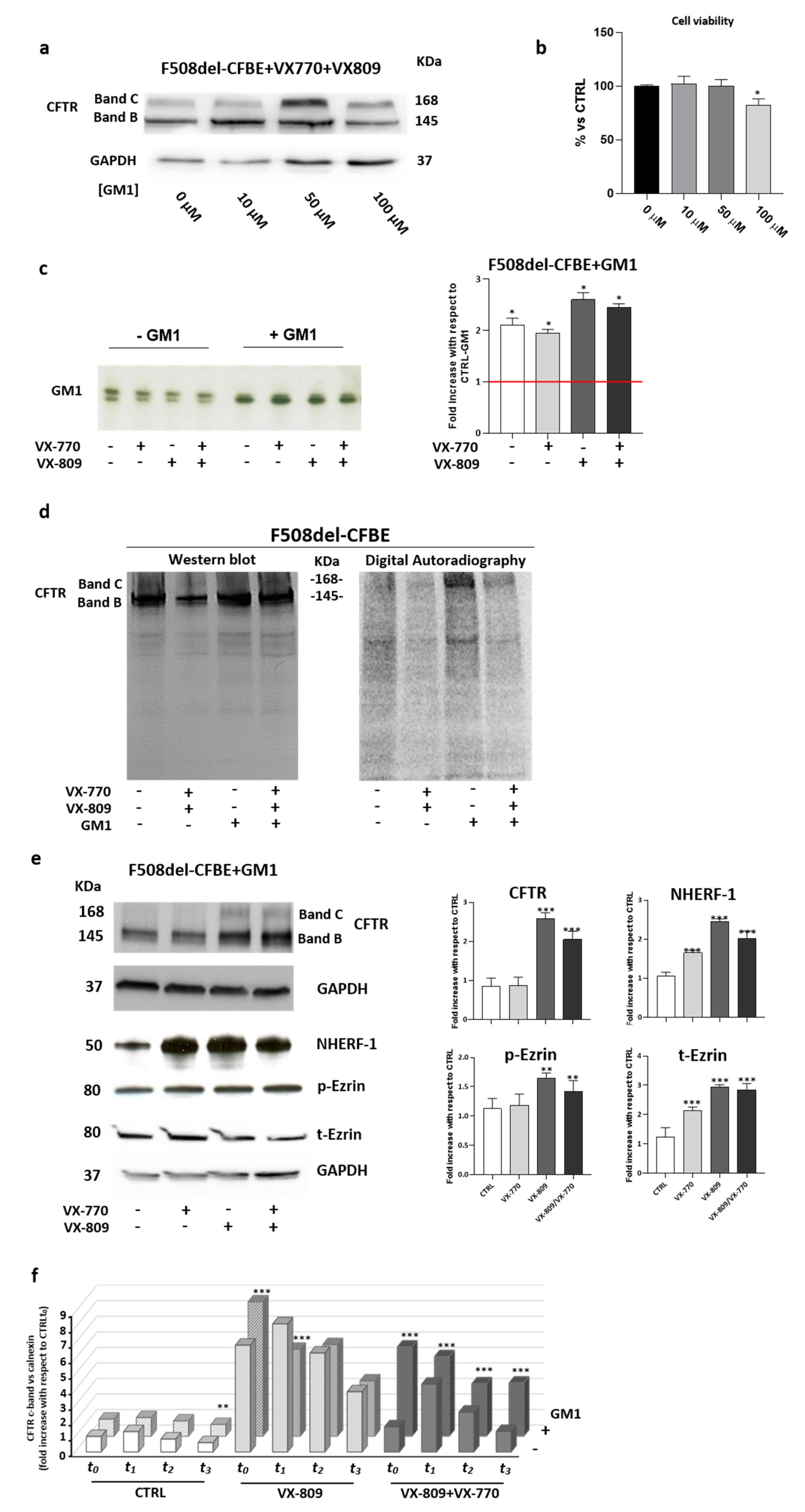 Ijms 21 04486 g004 Ijms 21 04486 g004