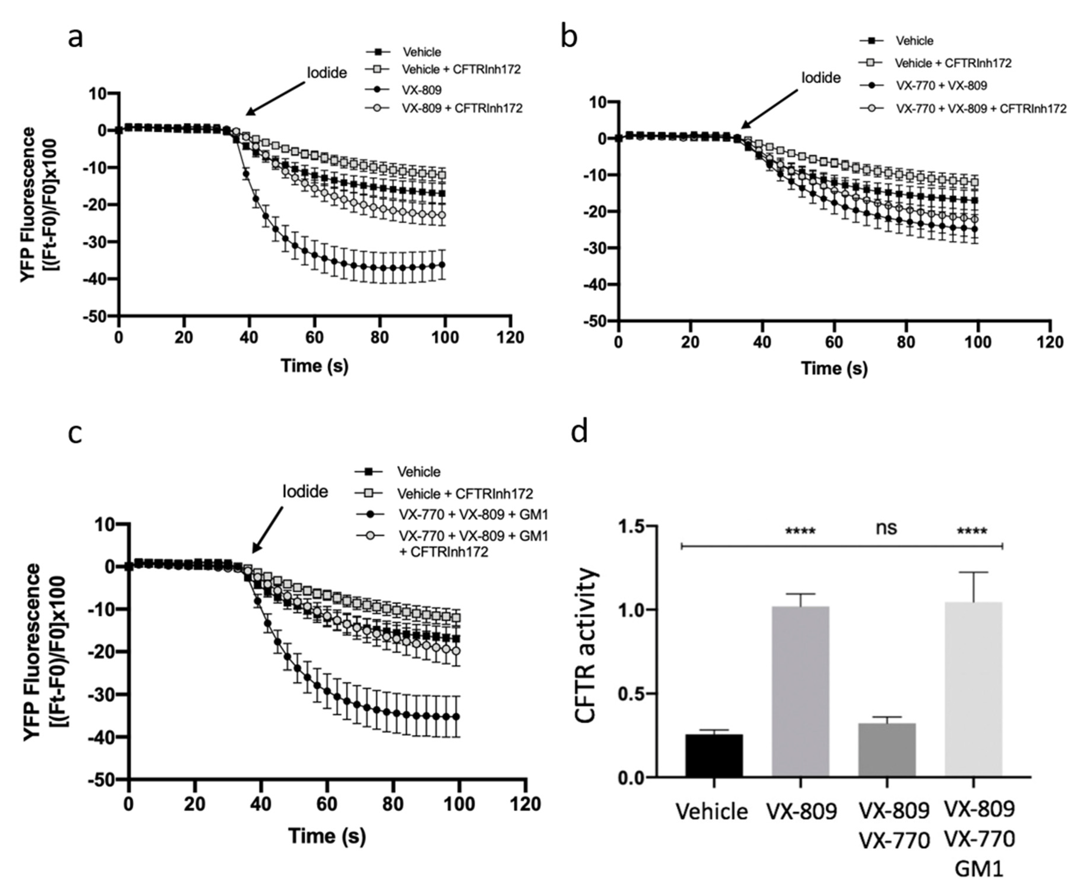 Ijms 21 04486 g005 Ijms 21 04486 g005