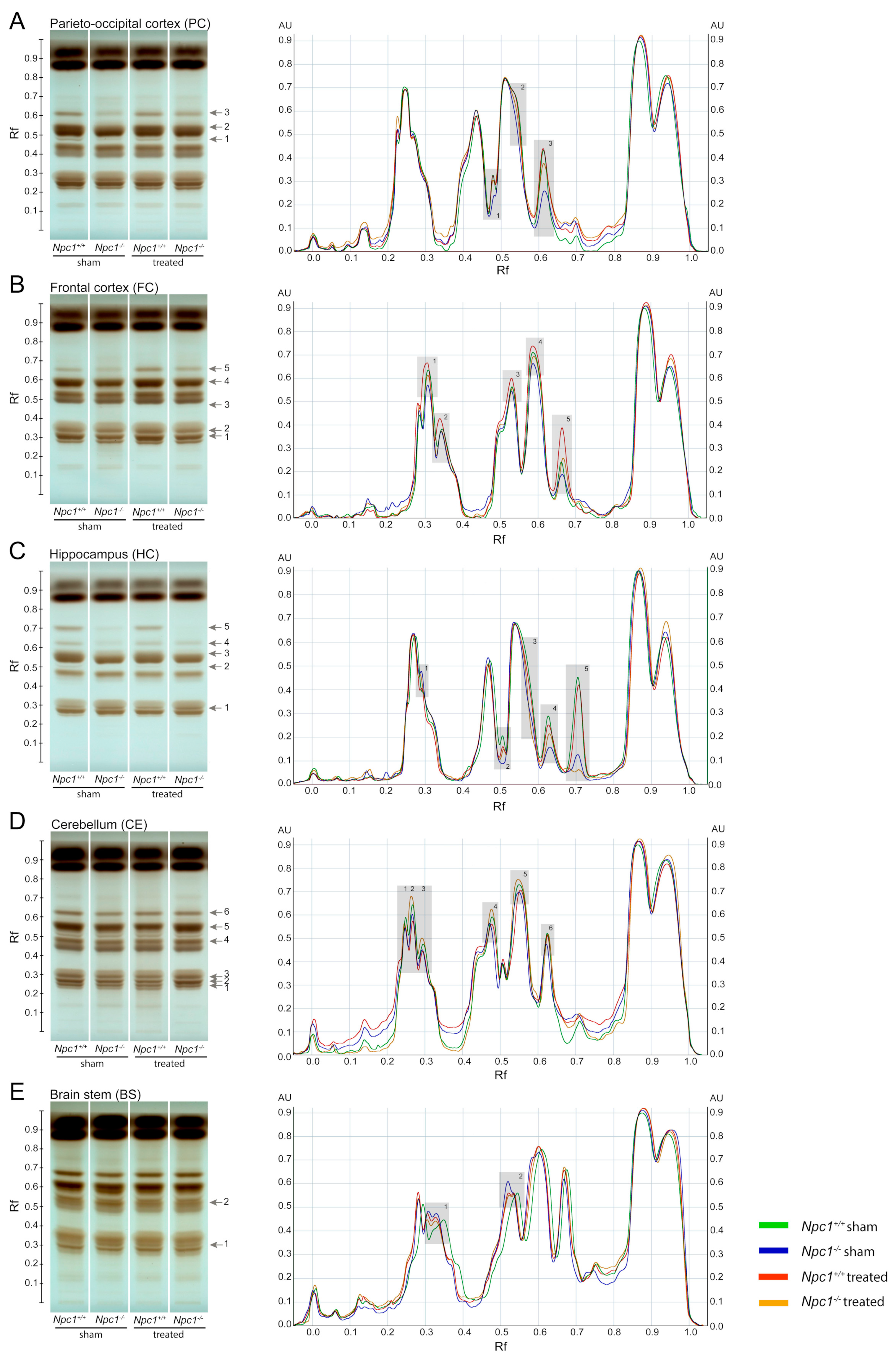 Ijms 21 04502 g001 Ijms 21 04502 g001
