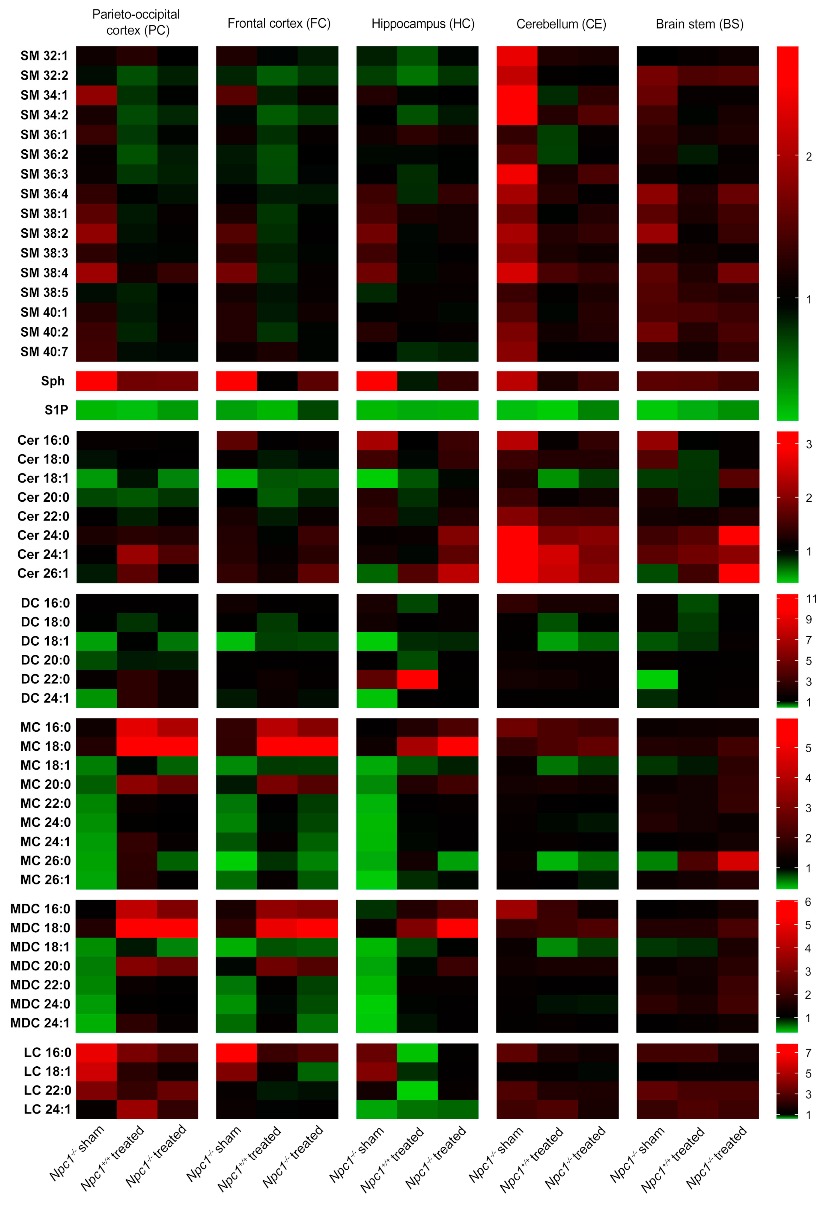 Ijms 21 04502 g002 Ijms 21 04502 g002