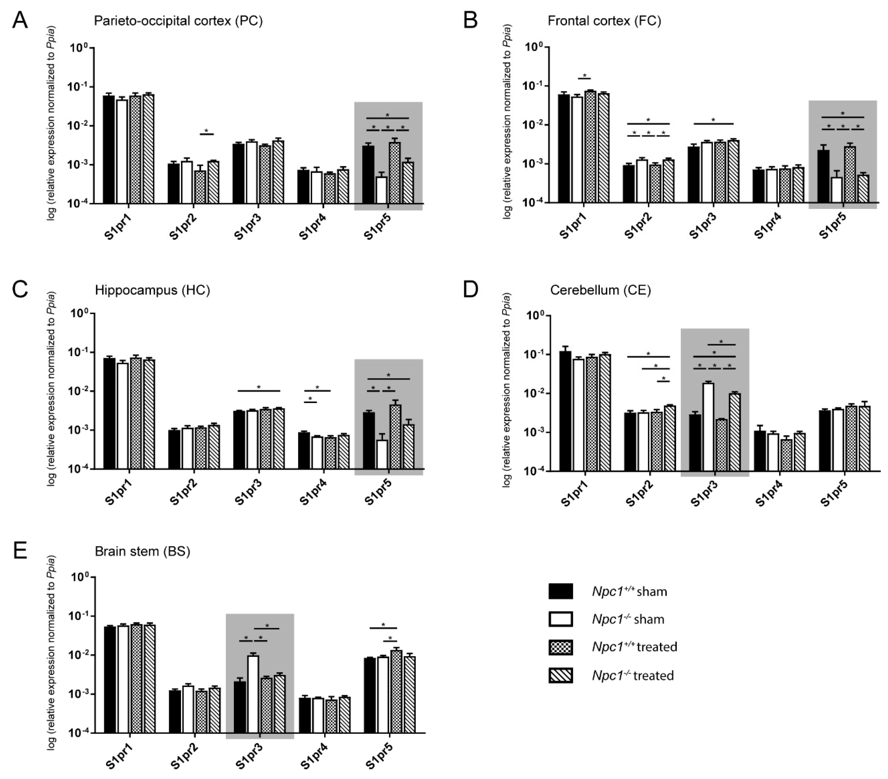 Ijms 21 04502 g003 Ijms 21 04502 g003