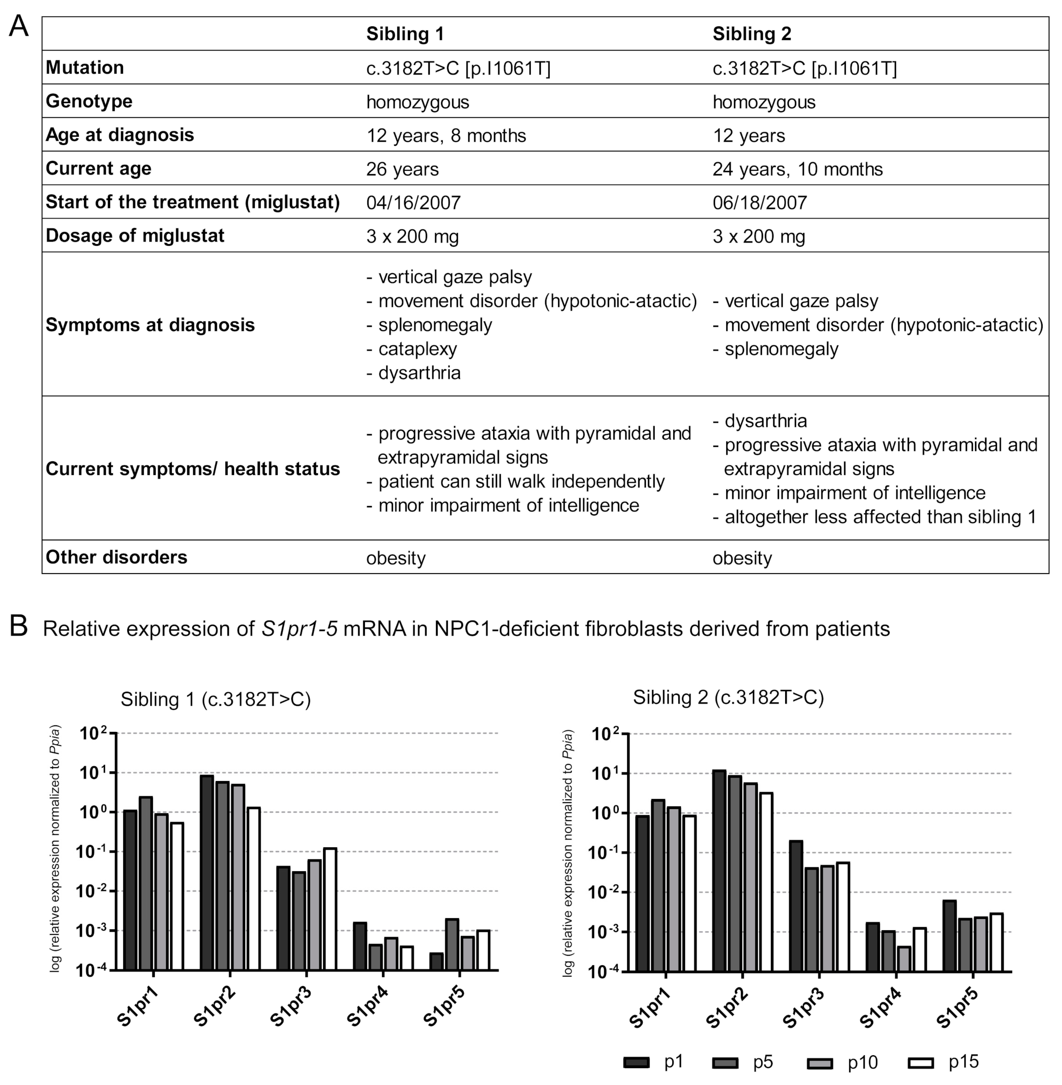 Ijms 21 04502 g006 Ijms 21 04502 g006